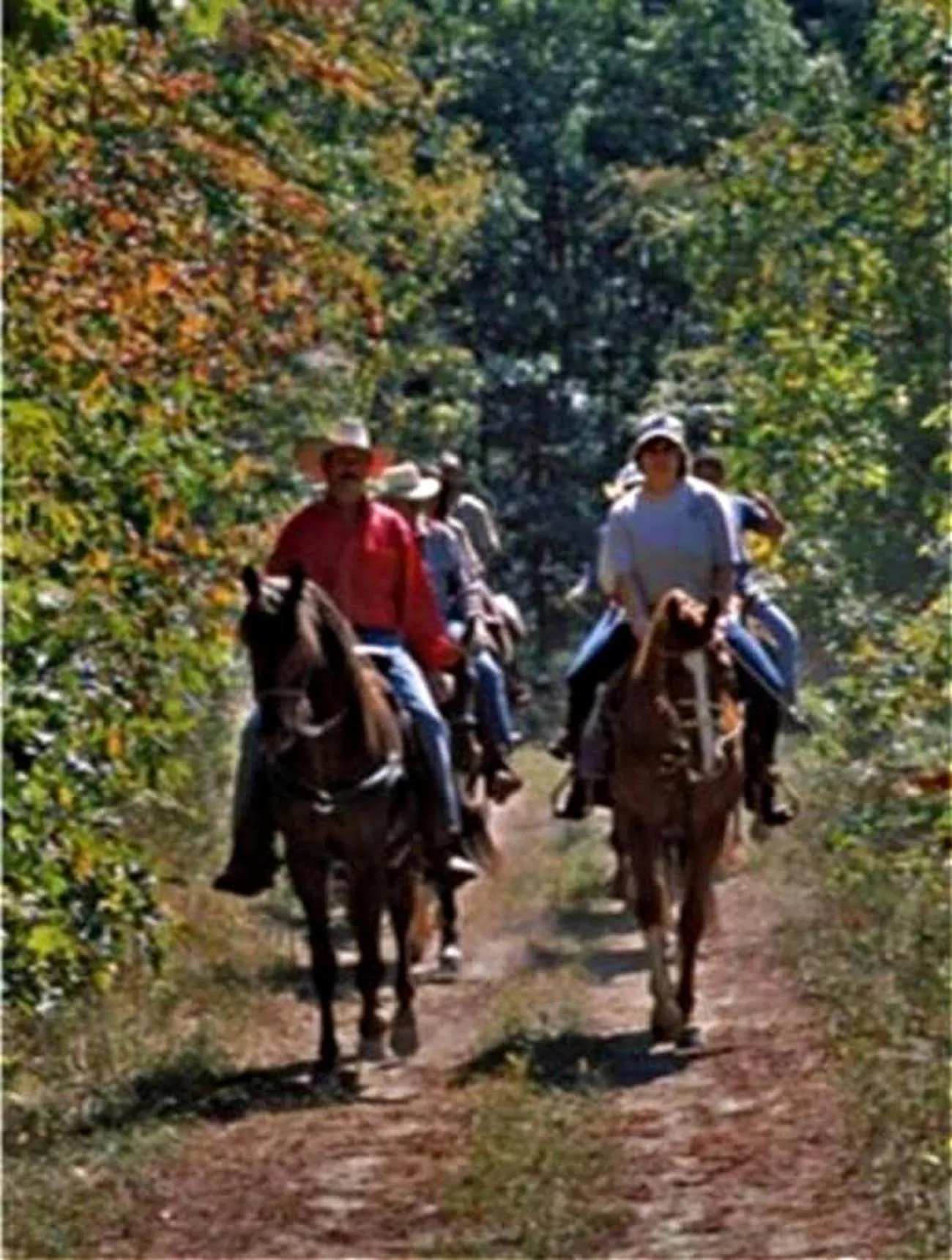 Horse-riding in Secluded Home with Mini Waterfall and a Creek in Hot Springs