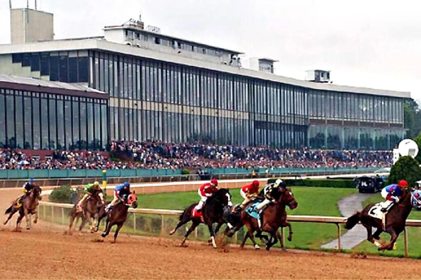 Horse-riding in Secluded Home with Mini Waterfall and a Creek in Hot Springs