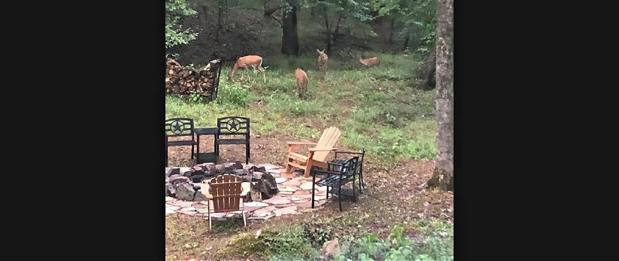 Garden in Secluded Home with Mini Waterfall and a Creek in Hot Springs