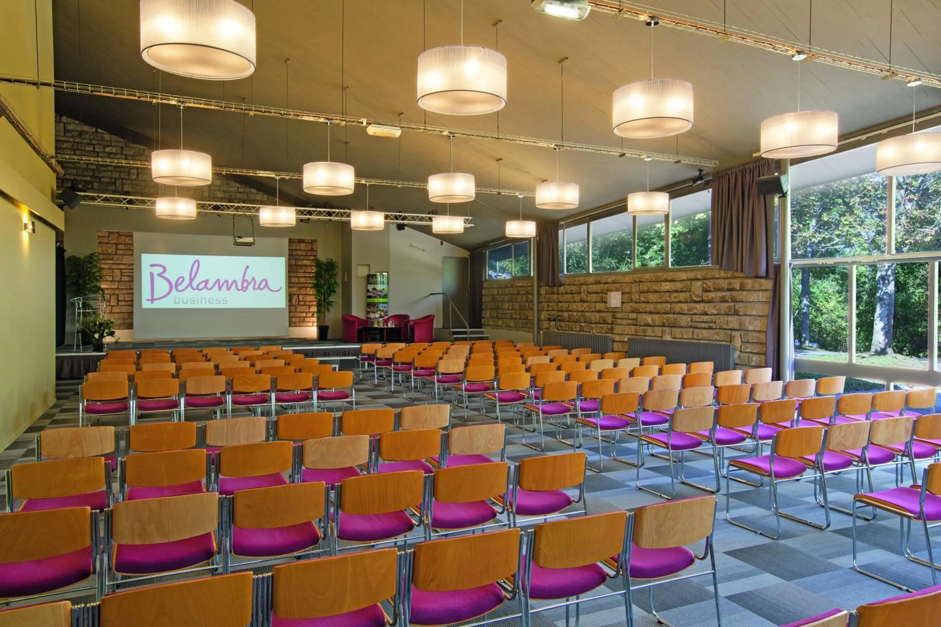 Business facilities in Hotel Belambra Le Normont