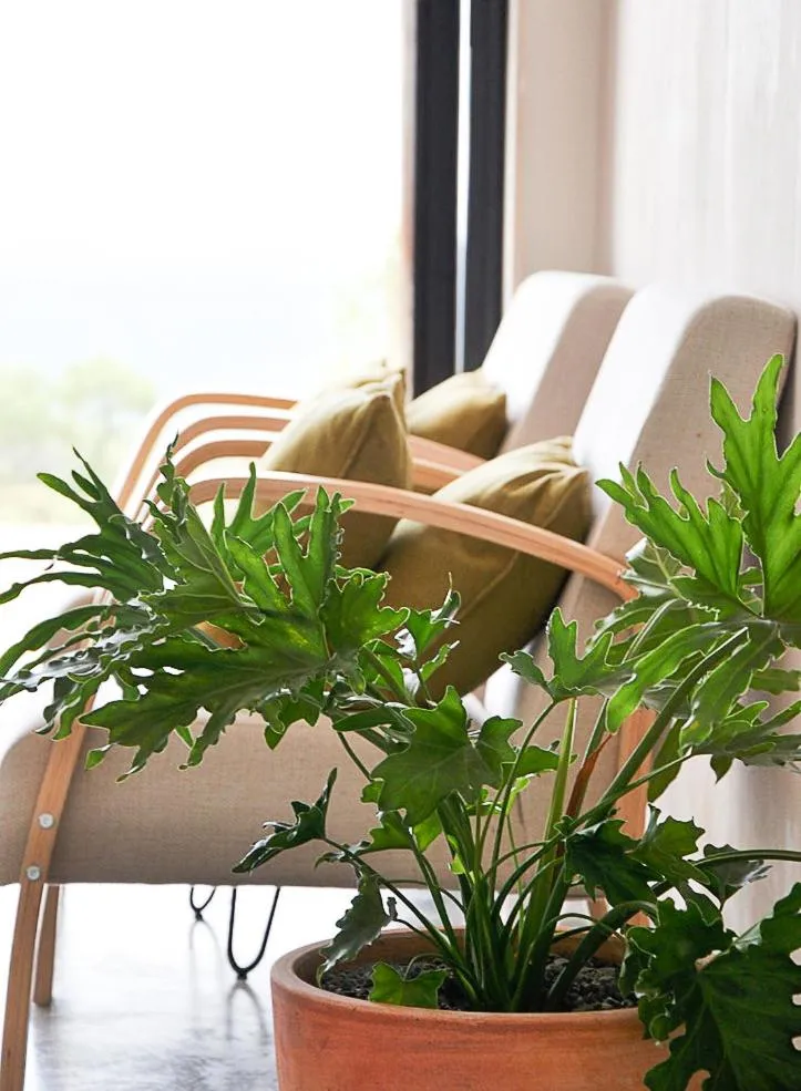 Seating area in Blackbird Luxury Accommodation