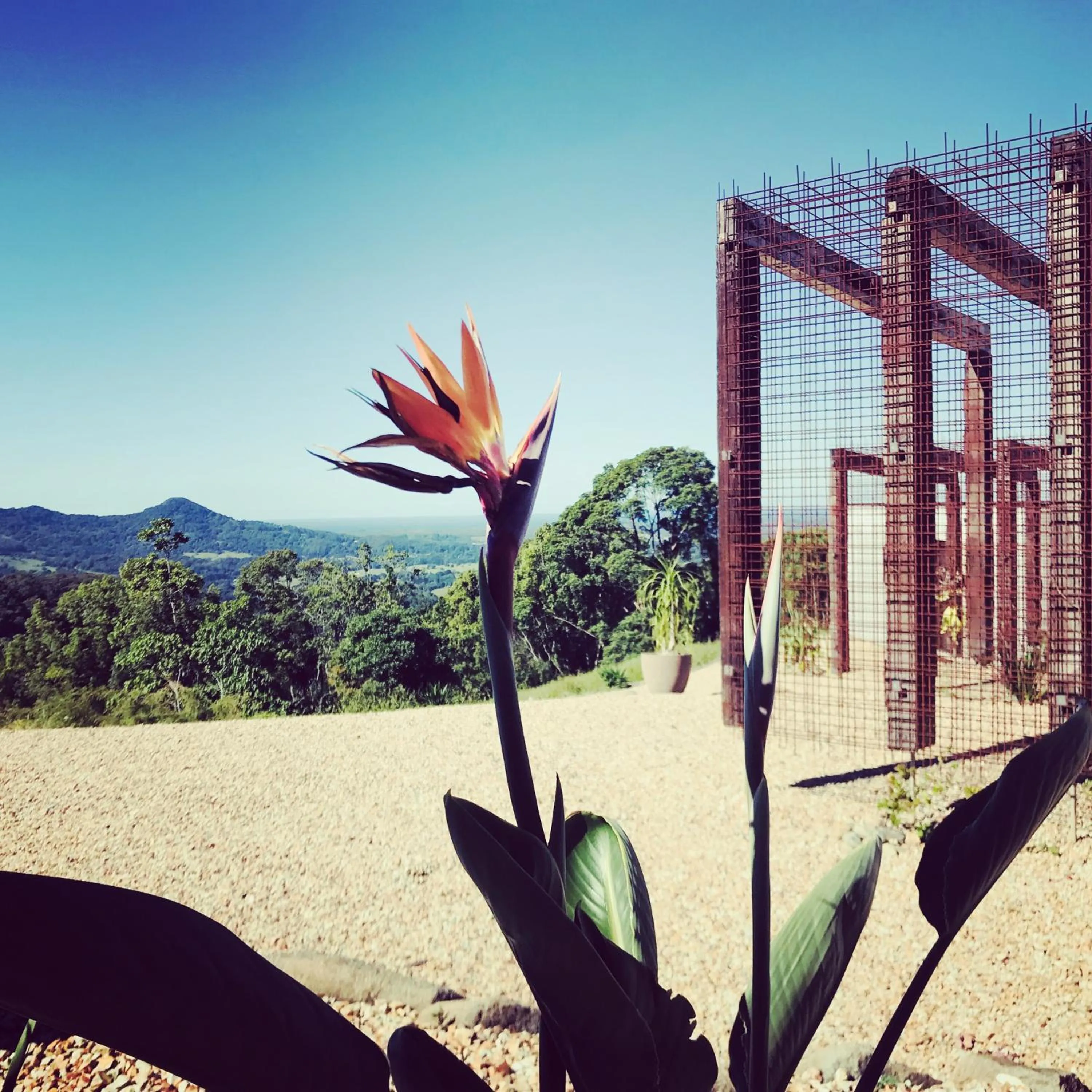 Blackbird Luxury Accommodation