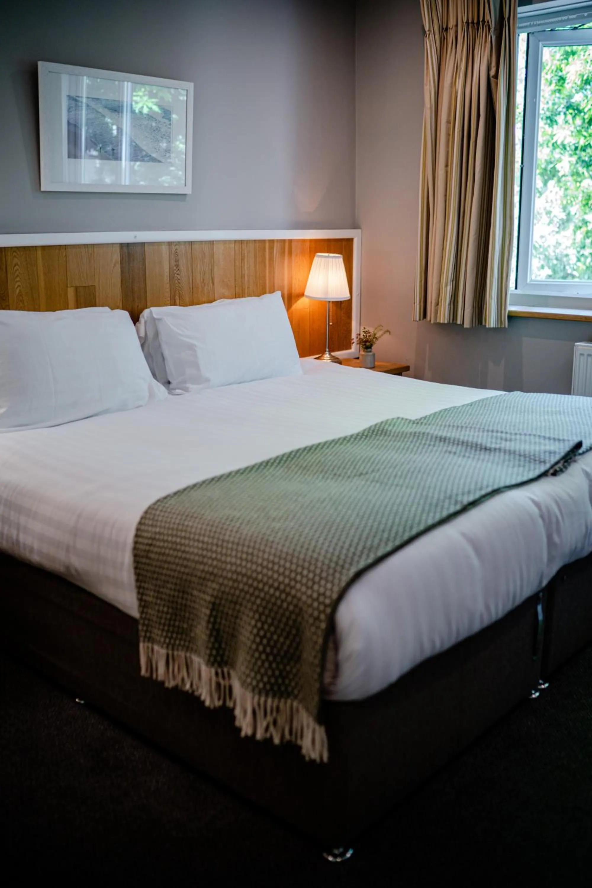 Standard Double Room in The Golden Lion, Newport, PEMBROKESHIRE