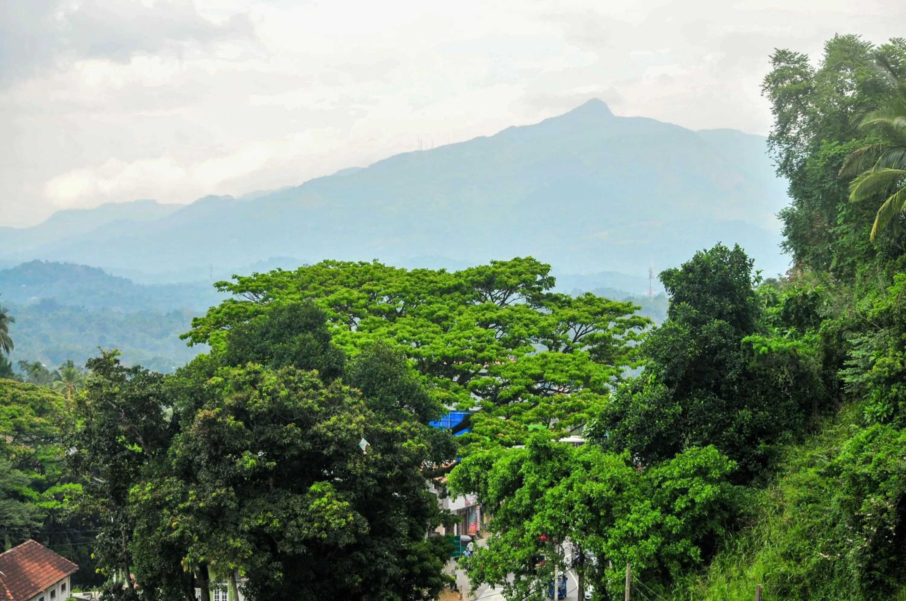 Property building in Vendol Maliga Edge