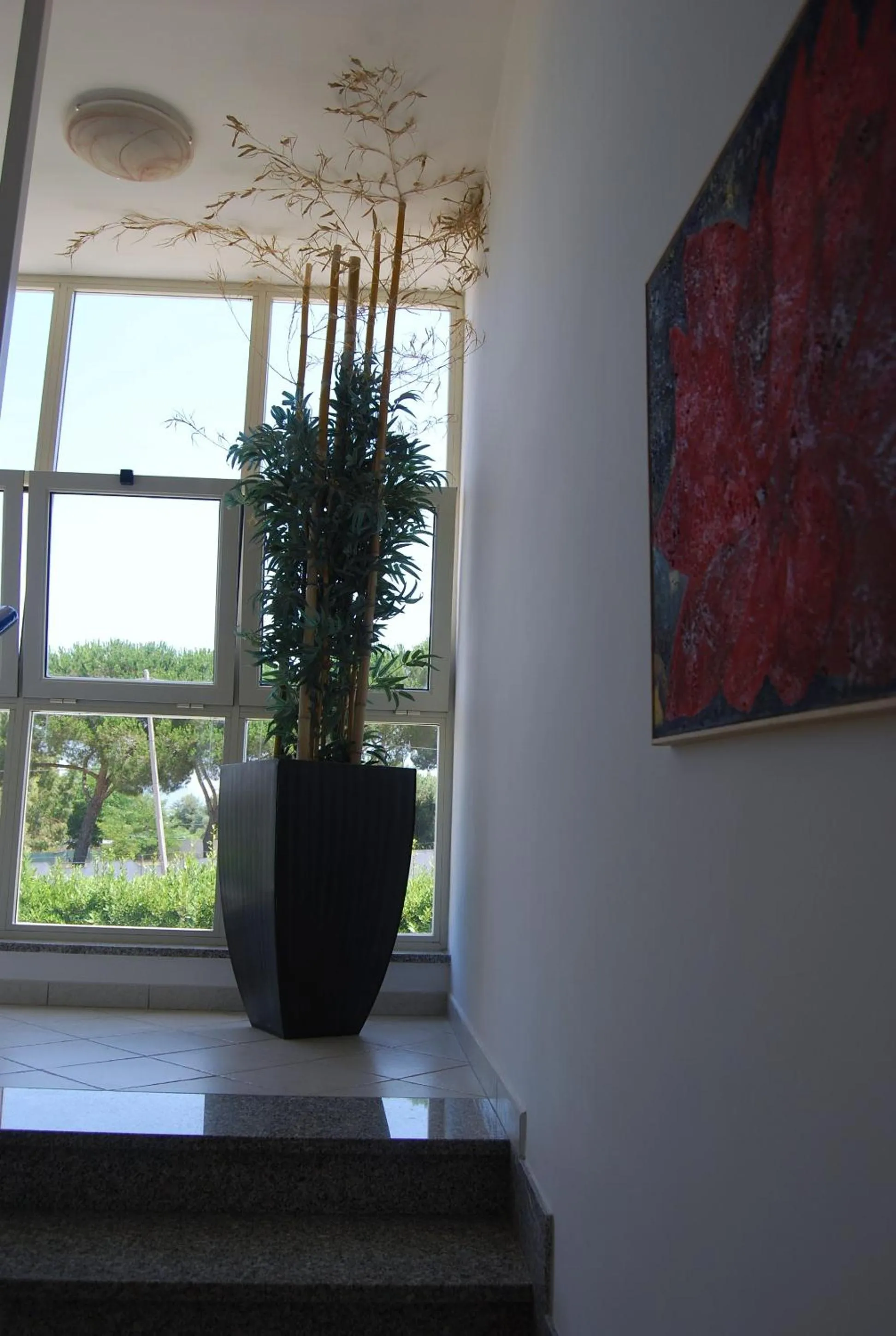 Area and facilities in Telma Hotel