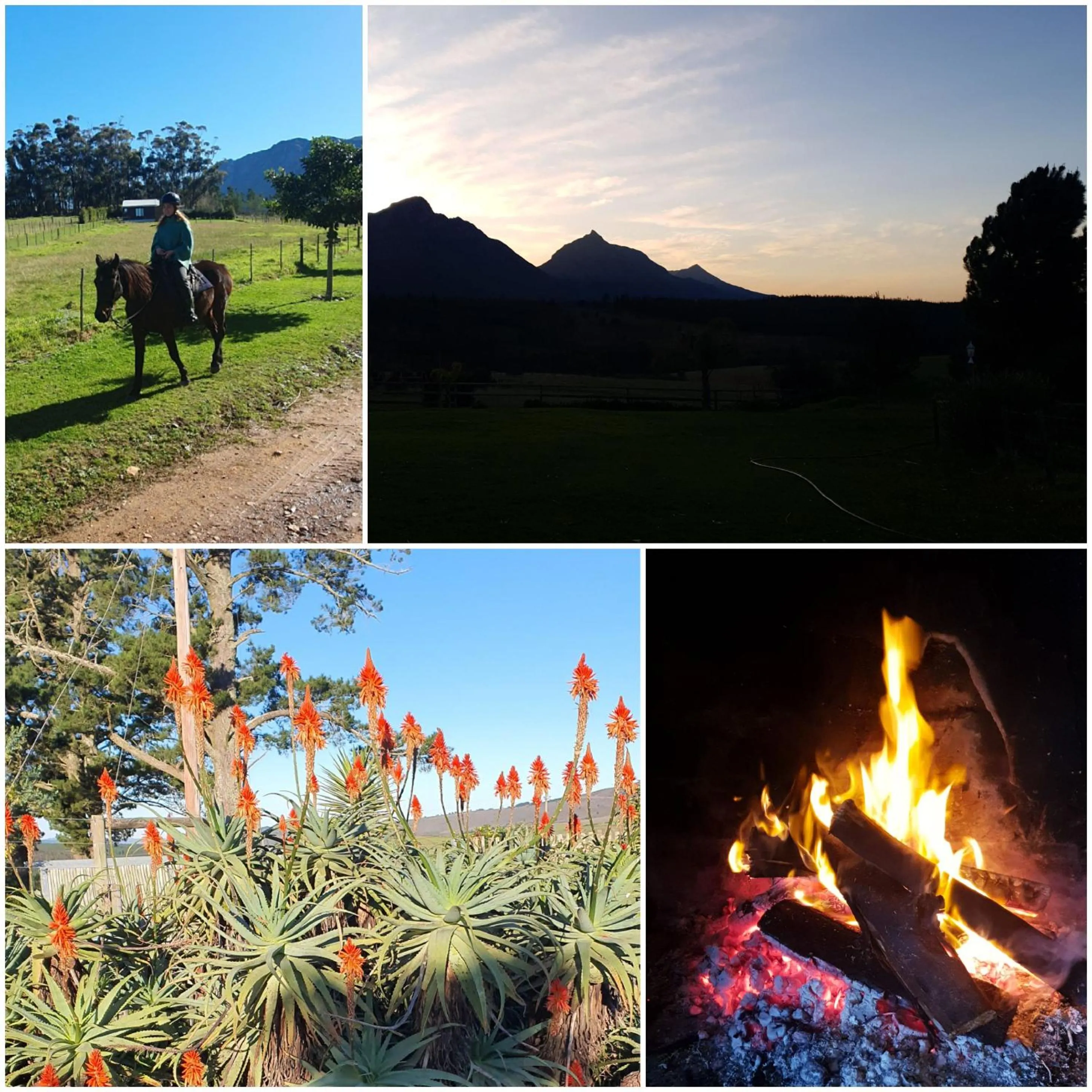 Oudebosch Guest Farm