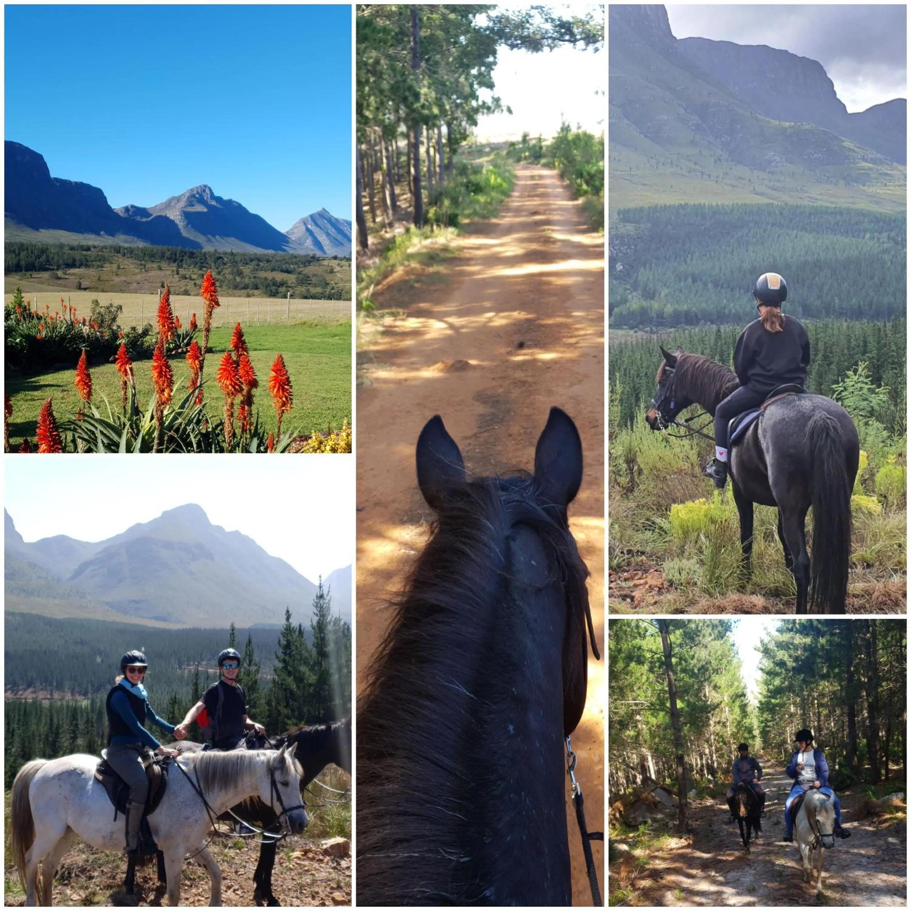 Oudebosch Guest Farm