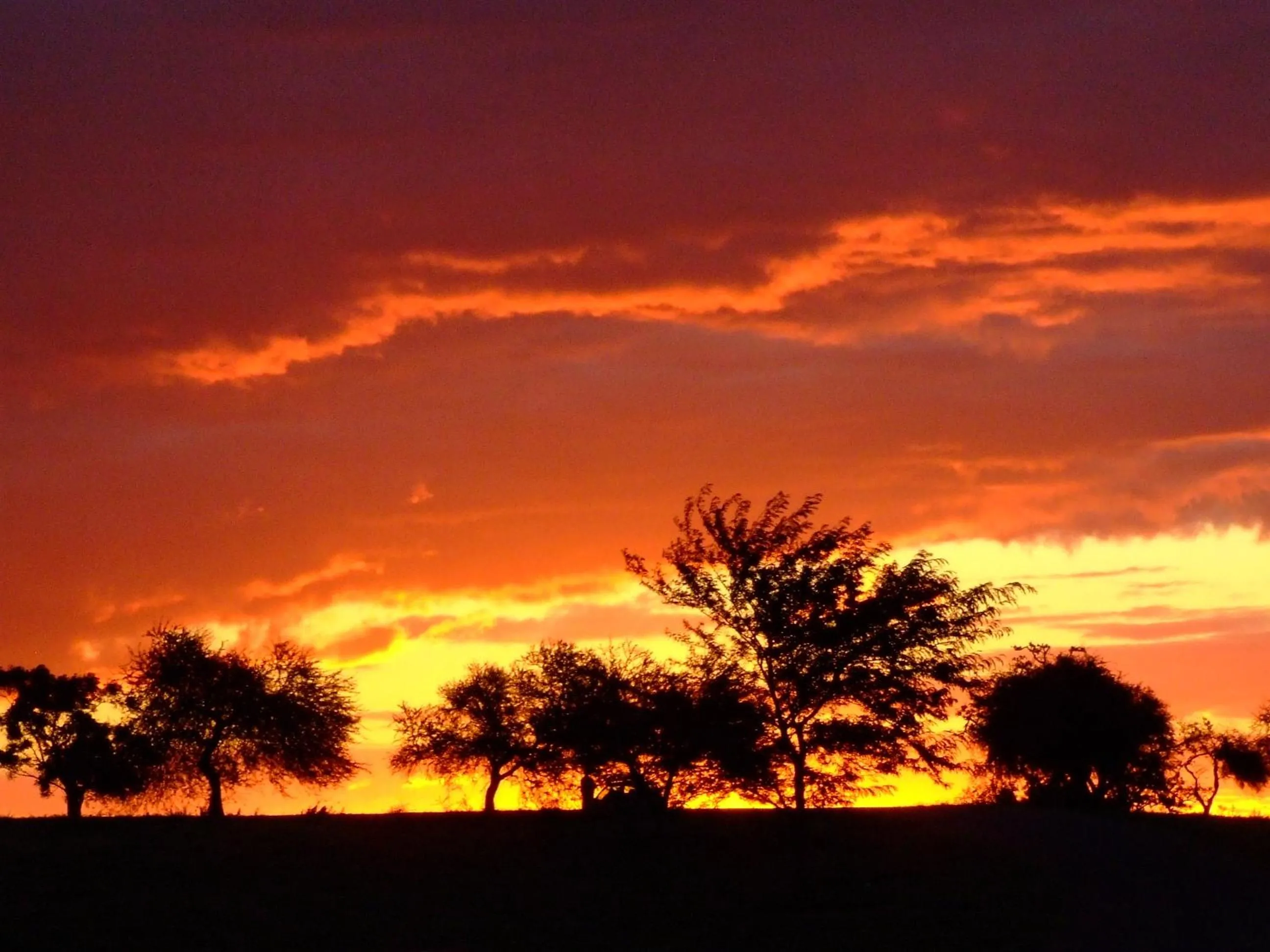 Off site in Gran Hotel Fray Bentos