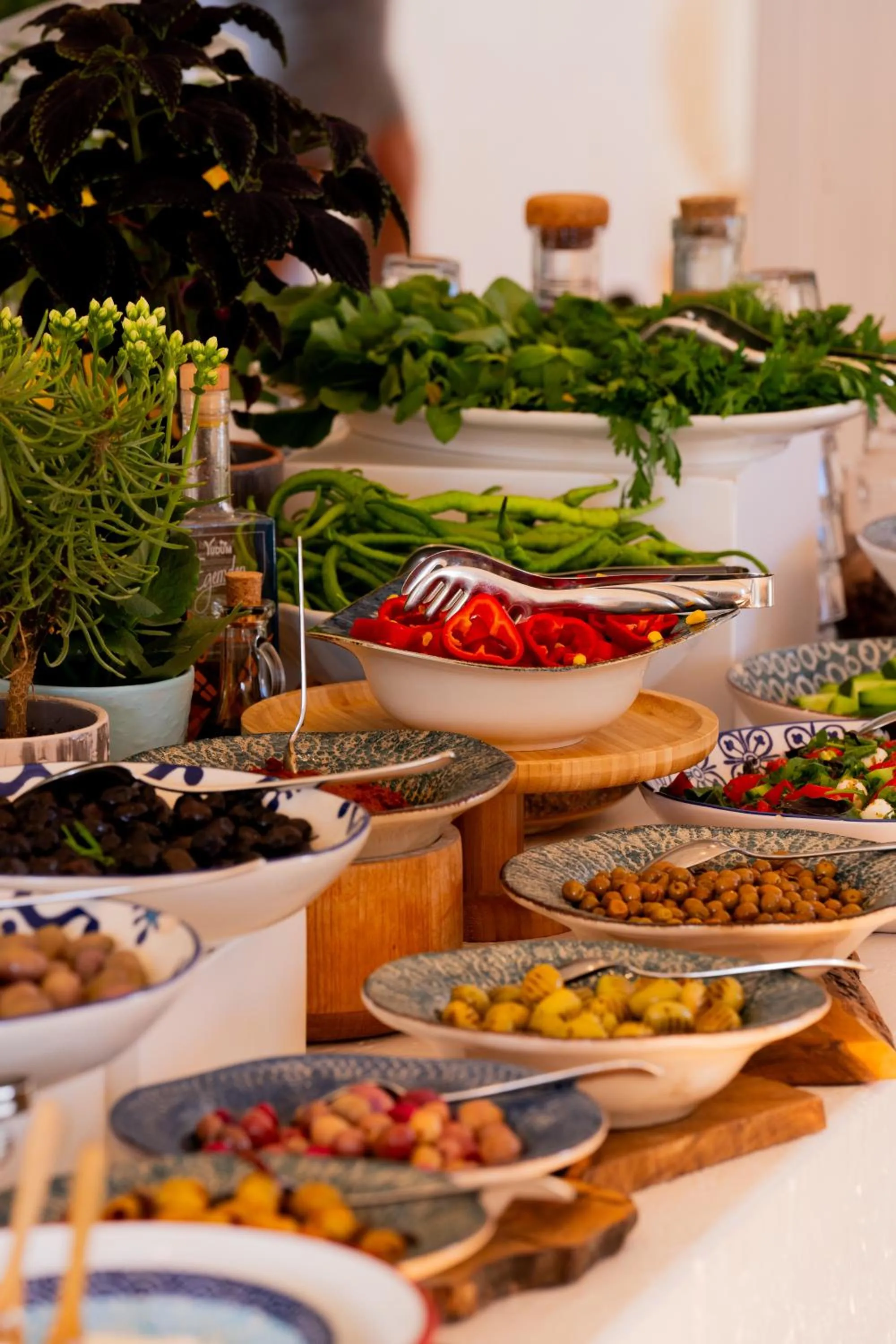 Breakfast in Antmare Hotel