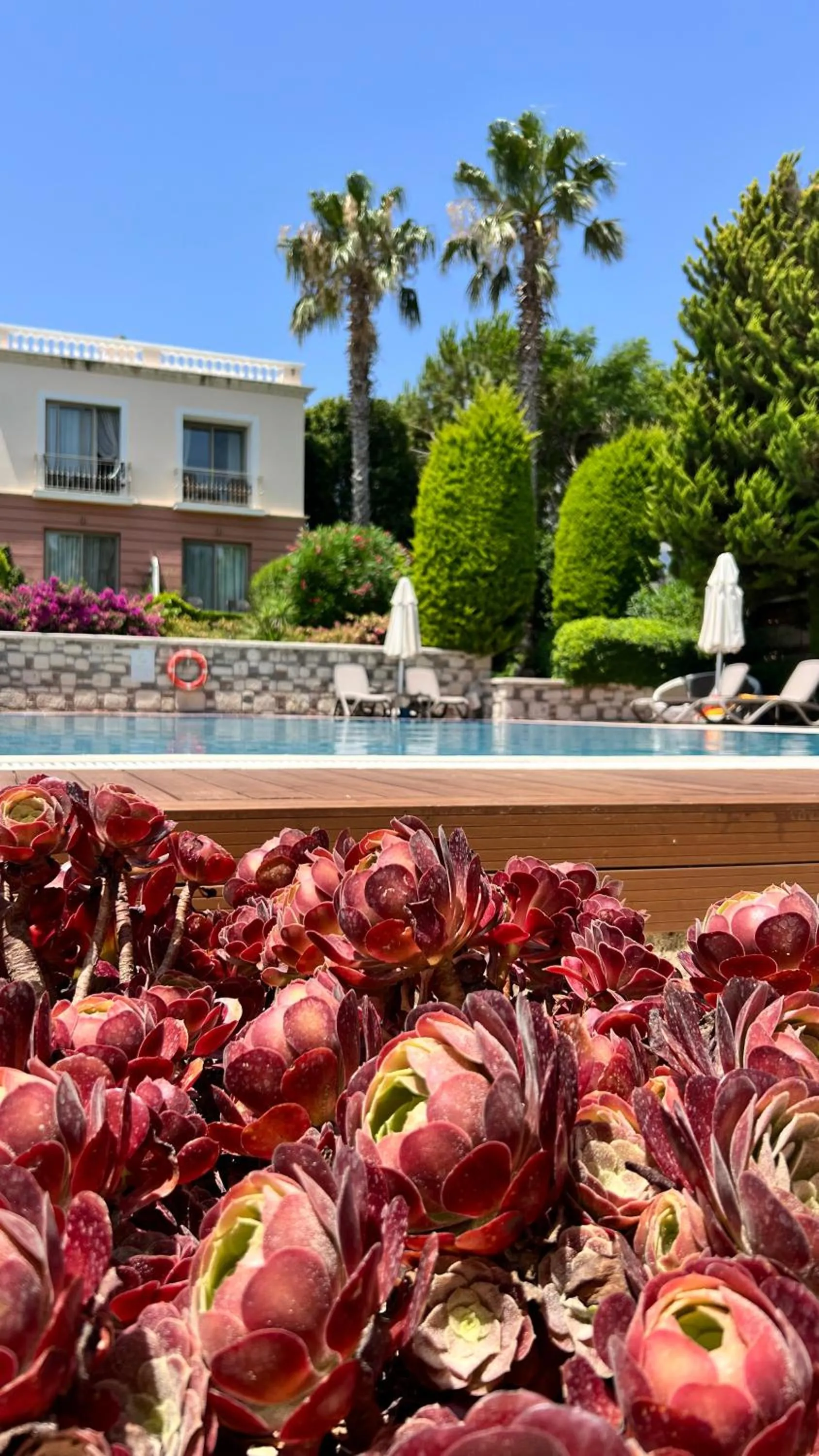 Swimming pool in Antmare Hotel