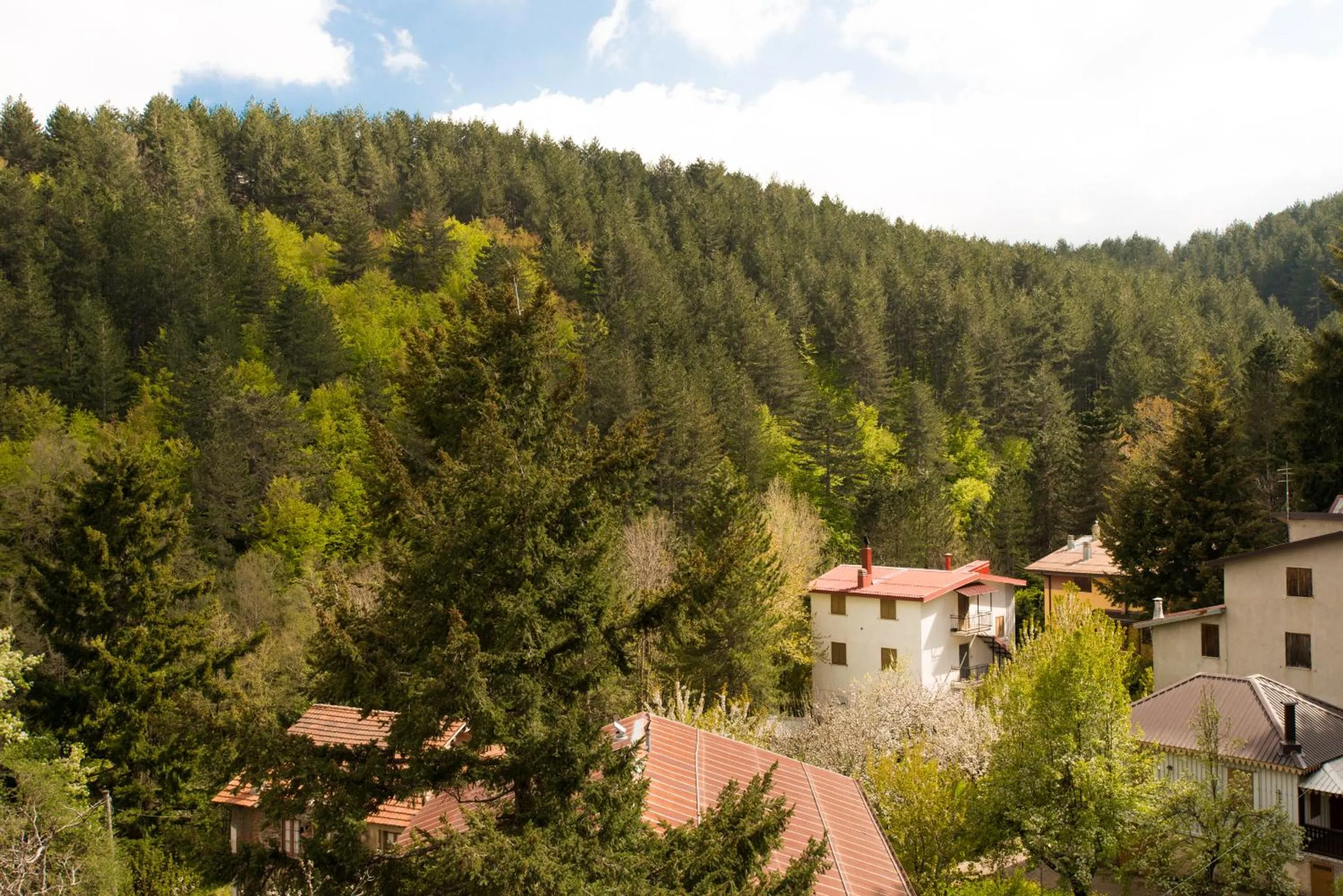 Mountain view in Hotel Tasso