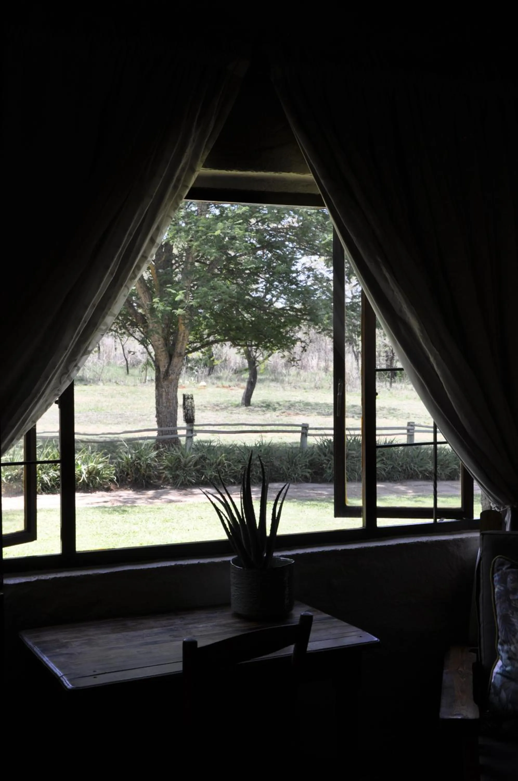Garden view in Grincourt B&B- with No Load shedding