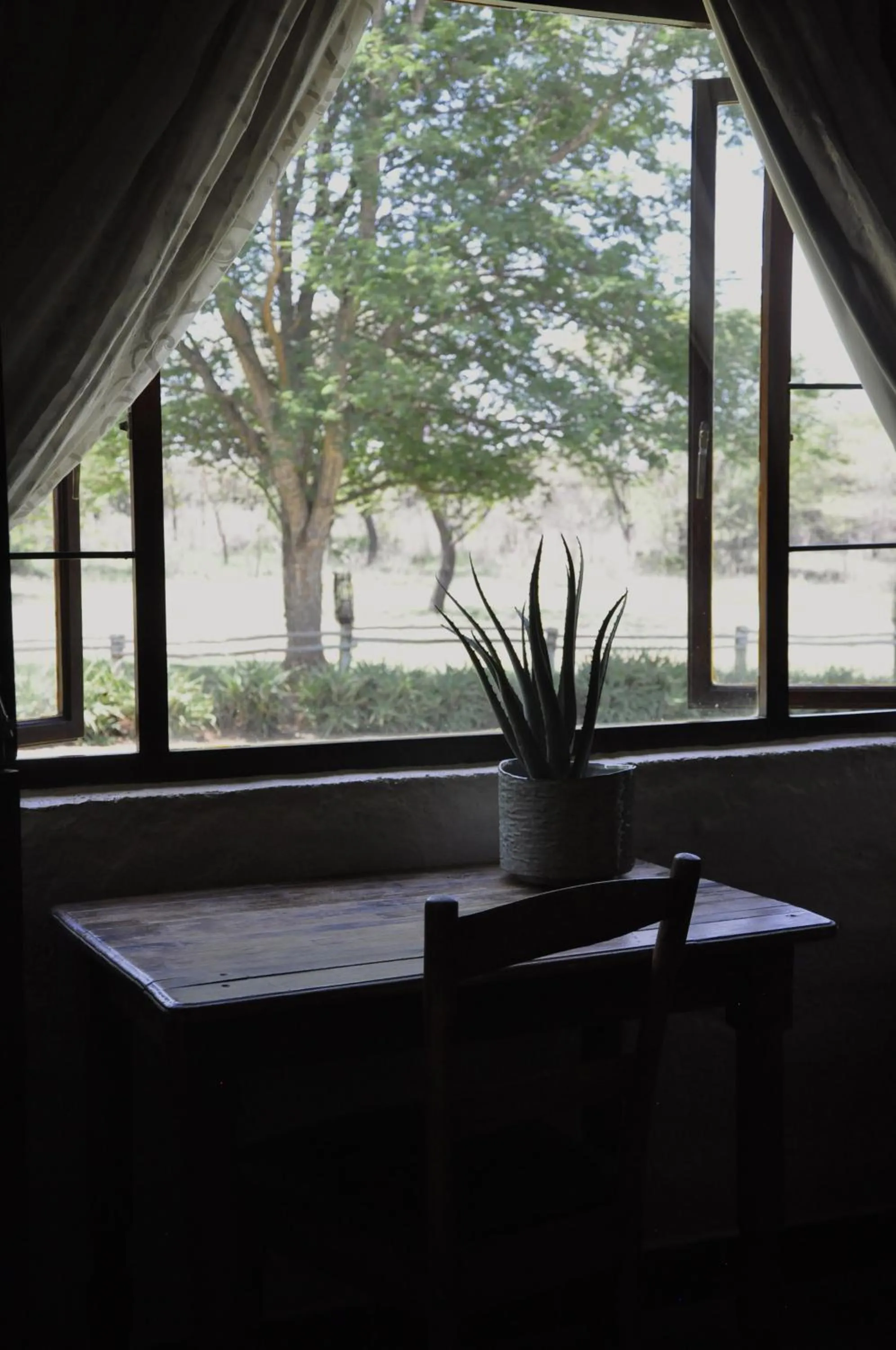 Garden view in Grincourt B&B- with No Load shedding