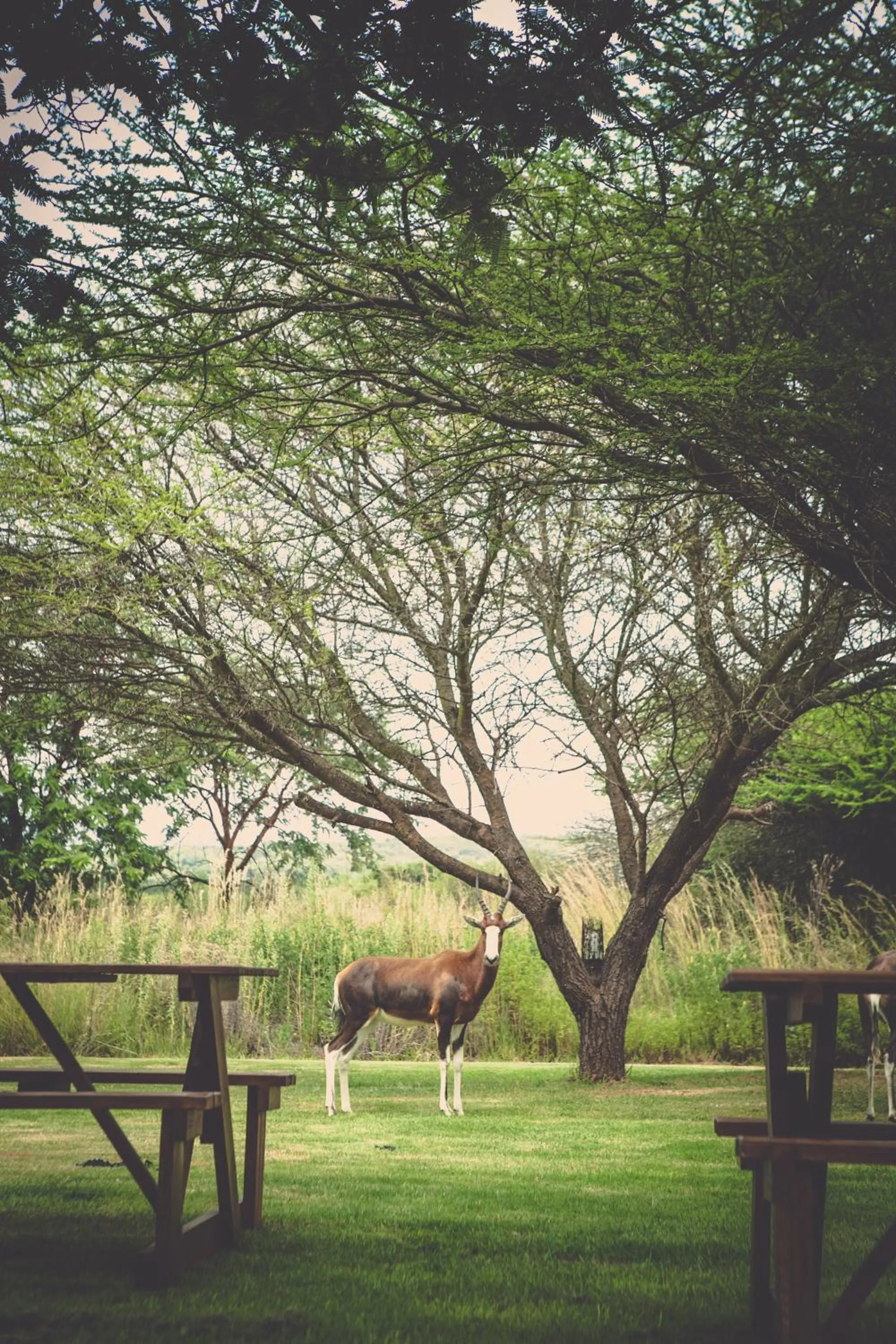 Property building in Grincourt B&B- with No Load shedding