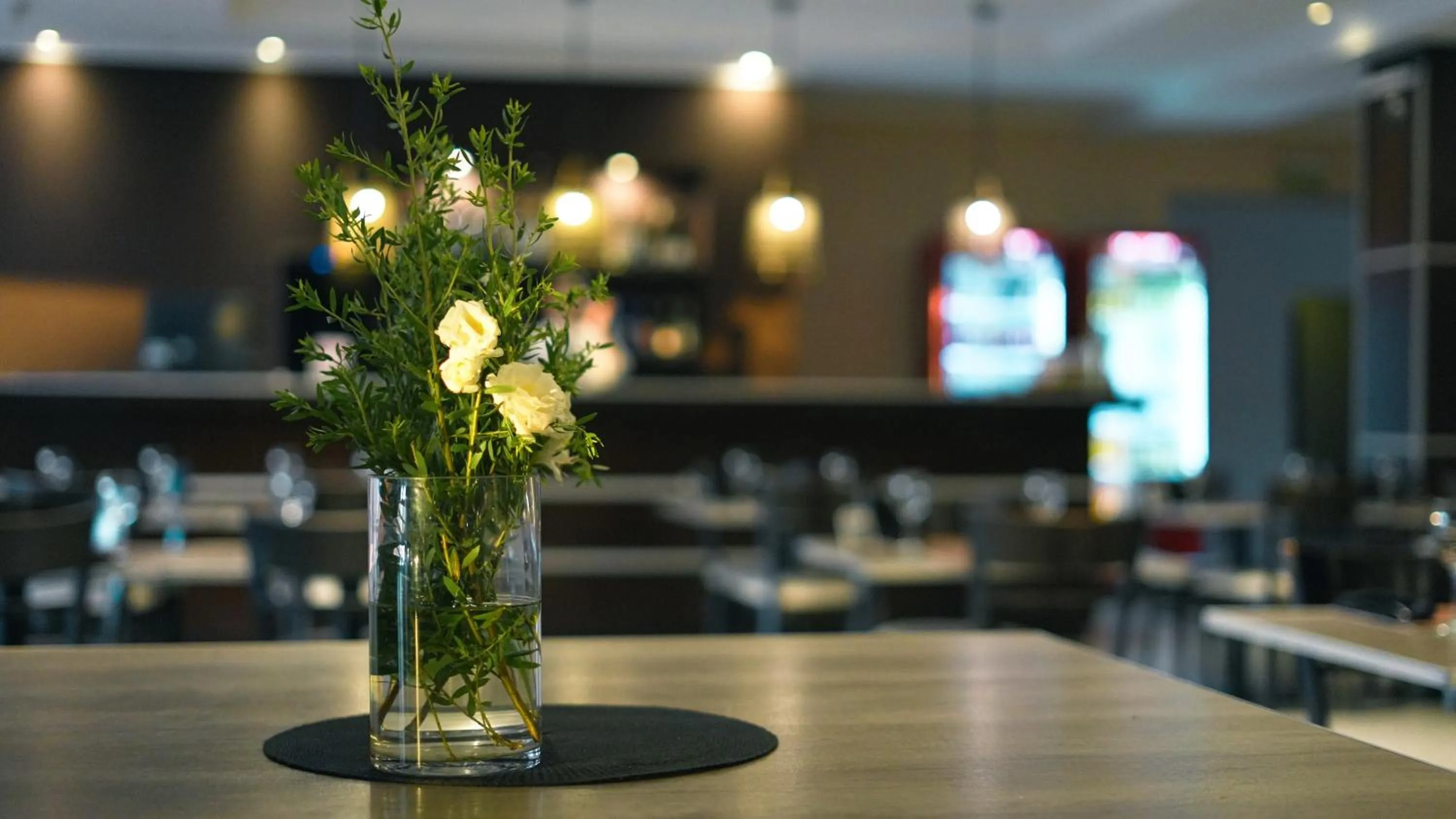 Restaurant/places to eat in Hathor Concordia