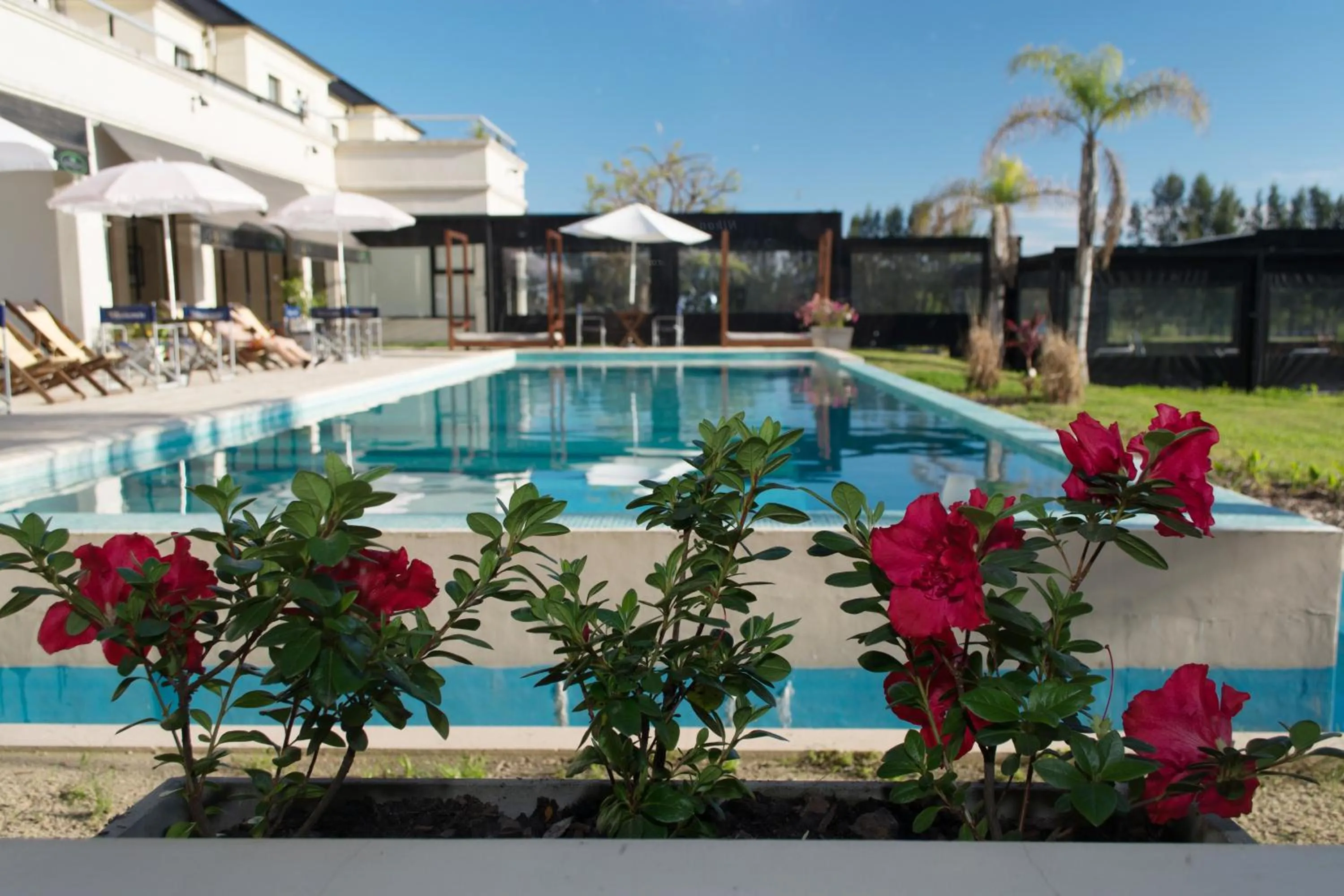 Garden view in Hathor Concordia