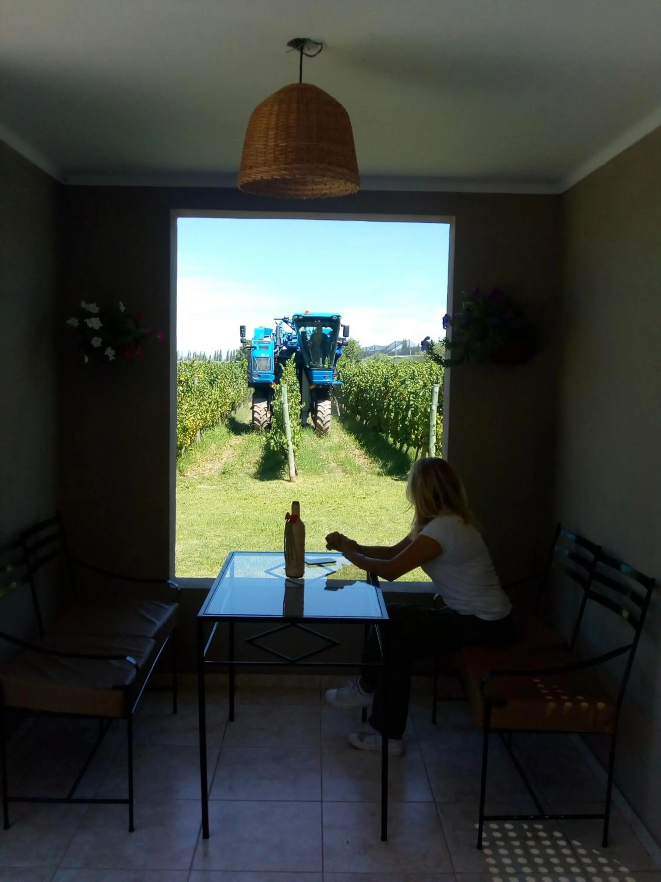 Garden view in Posada Cavieres Wine Farm