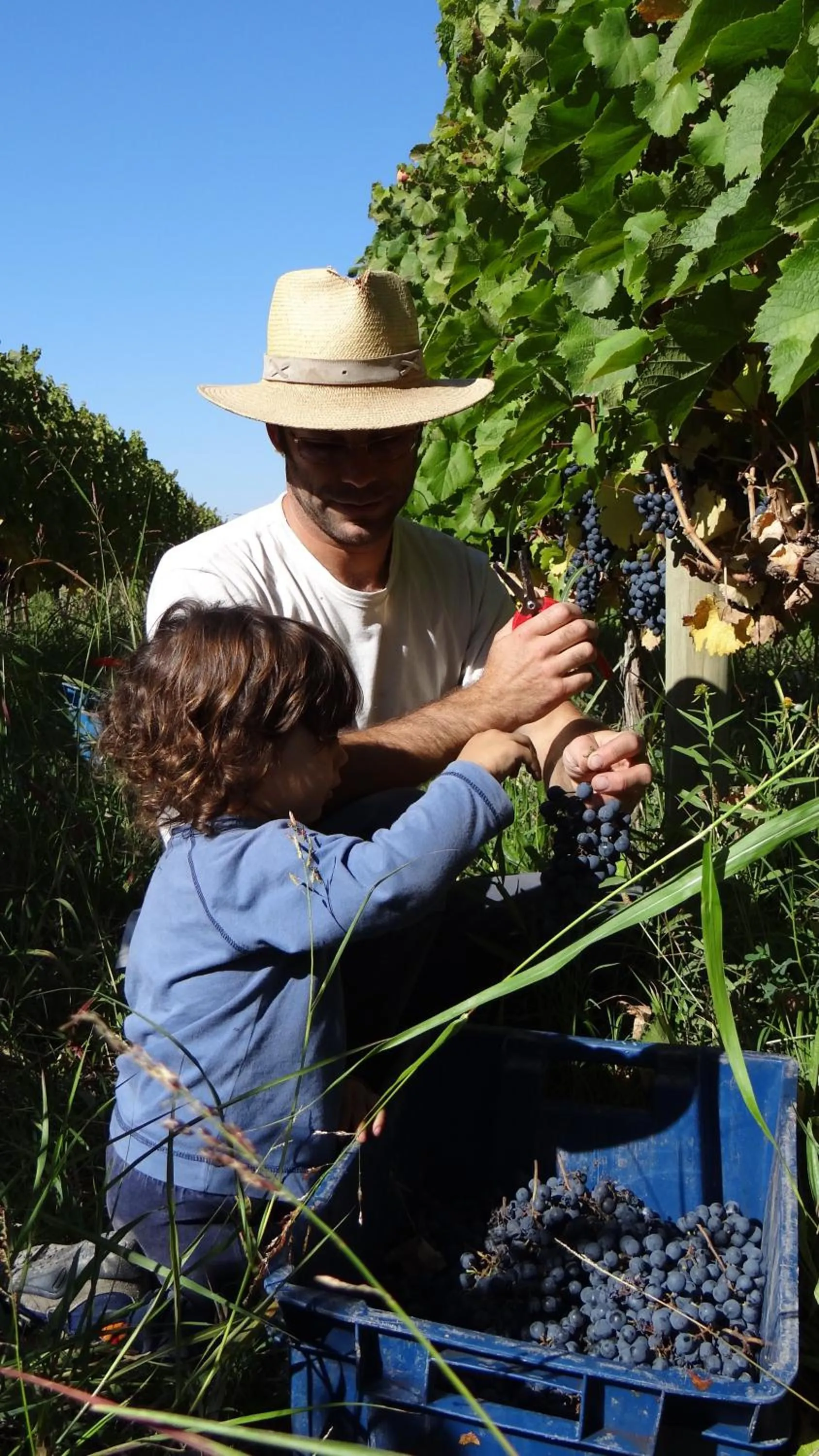 Staff in Posada Cavieres Wine Farm