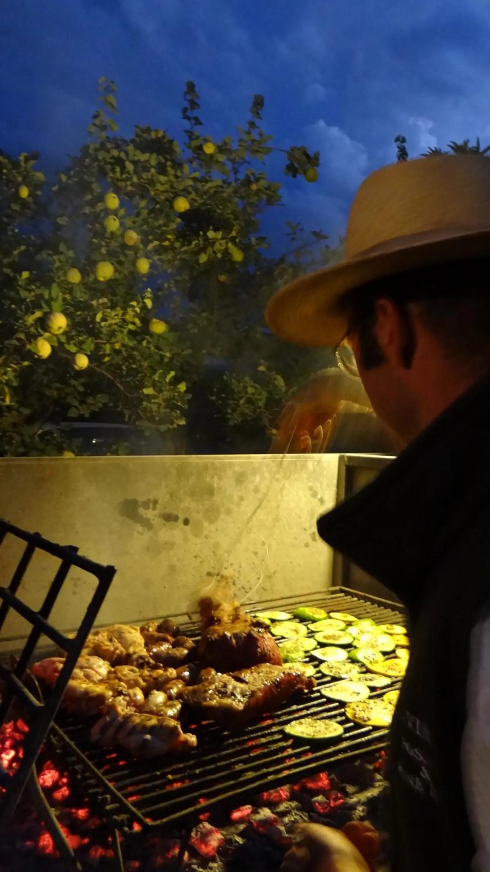 Food and drinks in Posada Cavieres Wine Farm