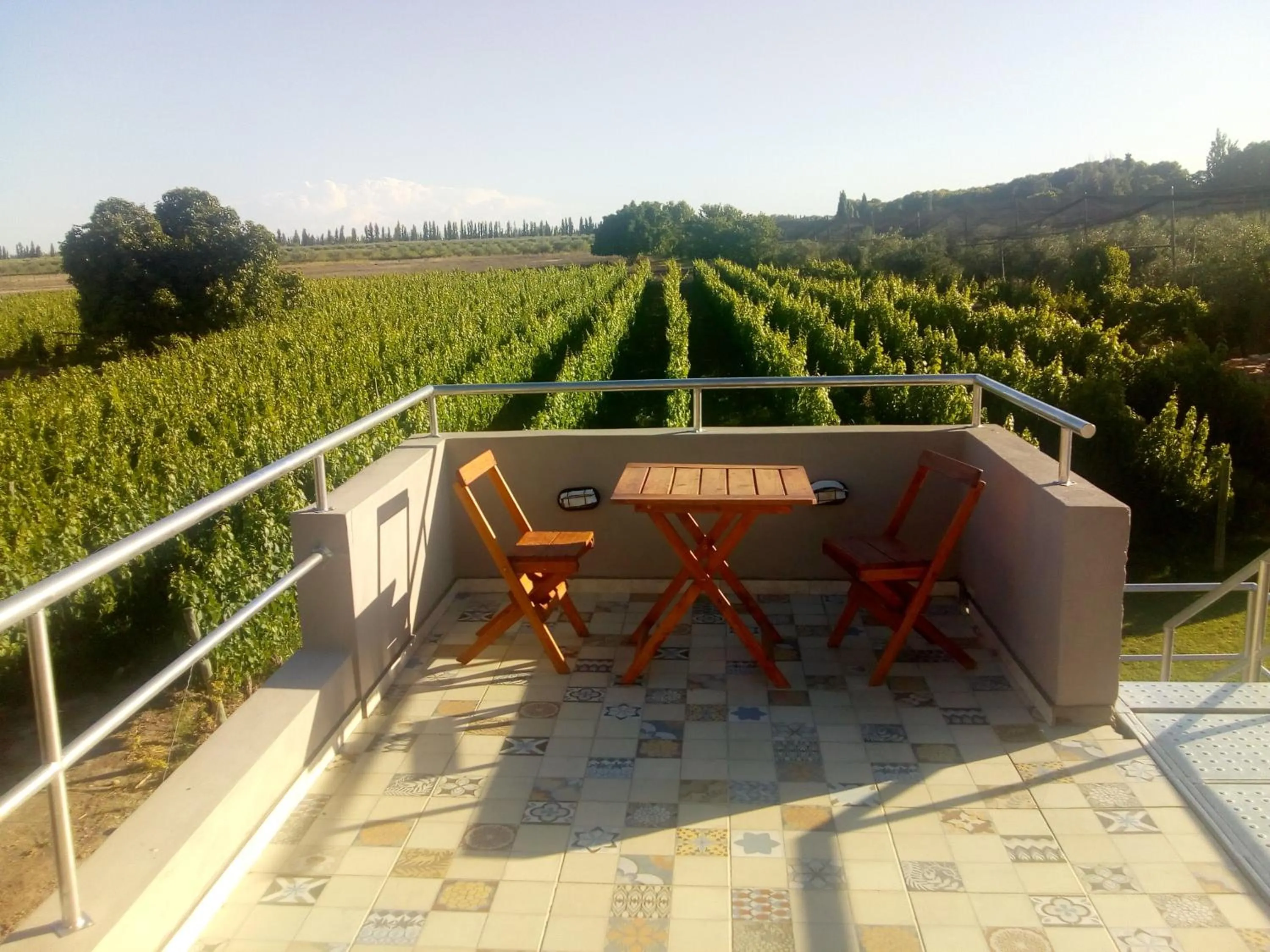 Bird's eye view in Posada Cavieres Wine Farm