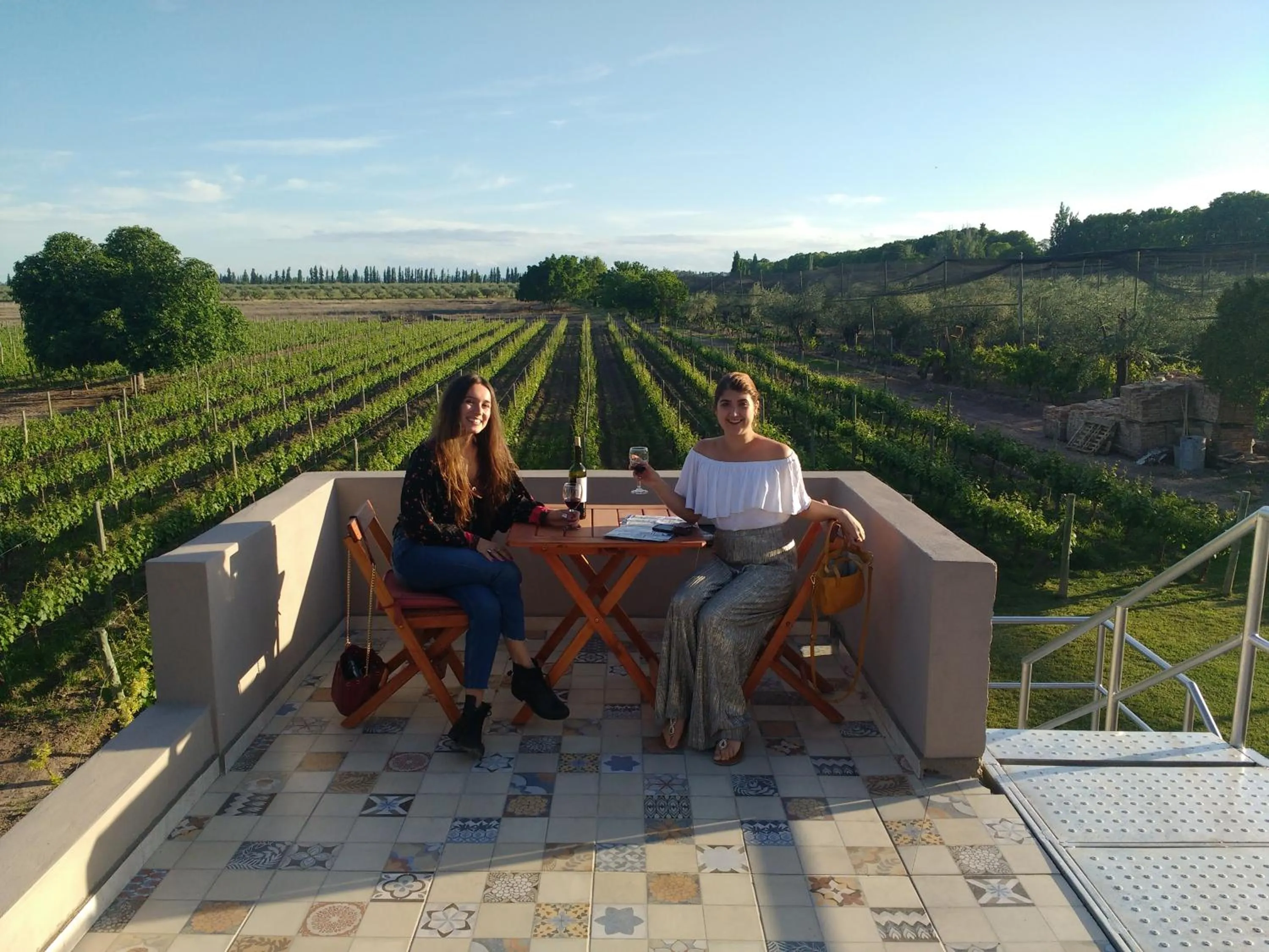 View (from property/room) in Posada Cavieres Wine Farm