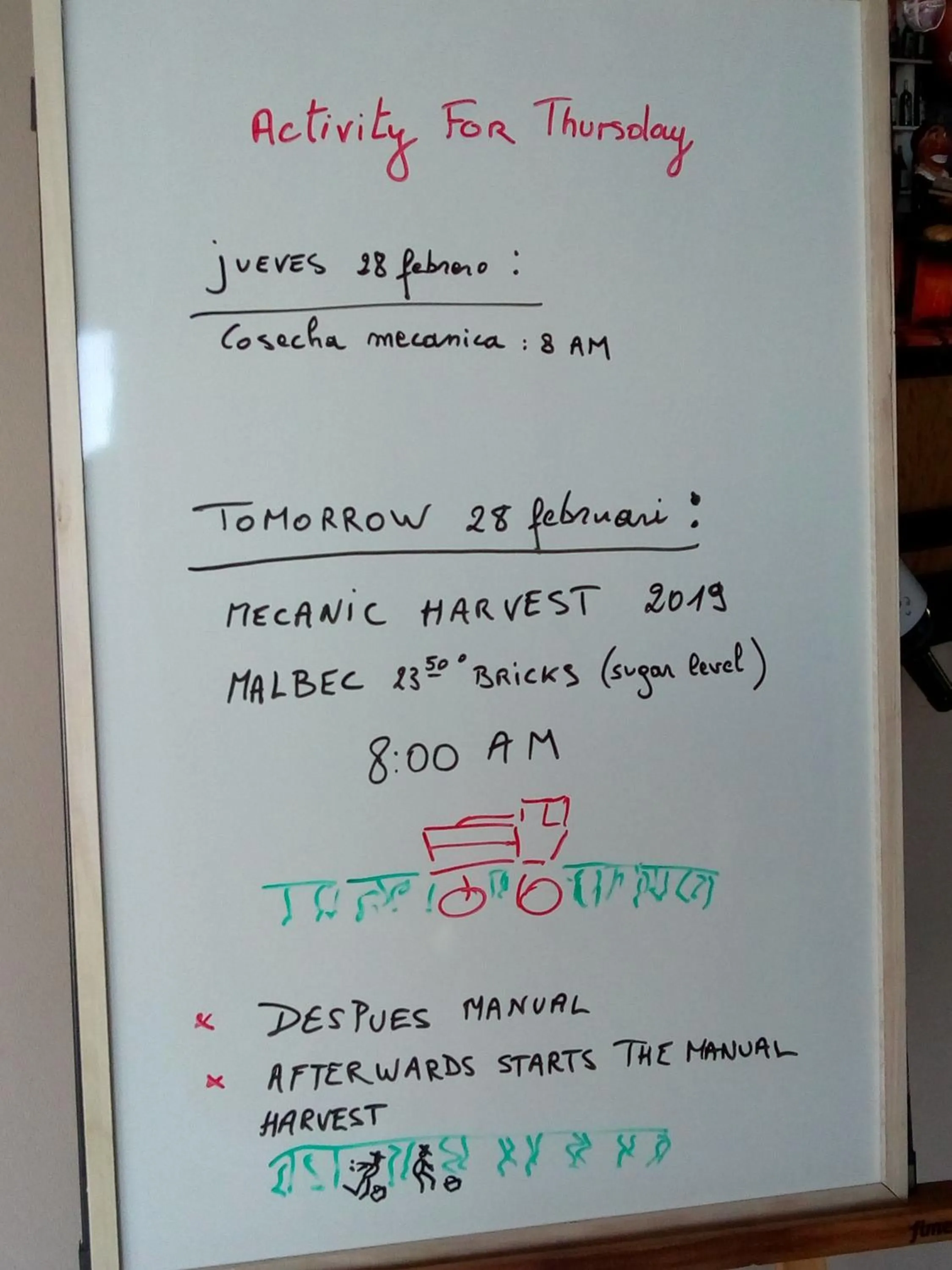 Activities in Posada Cavieres Wine Farm