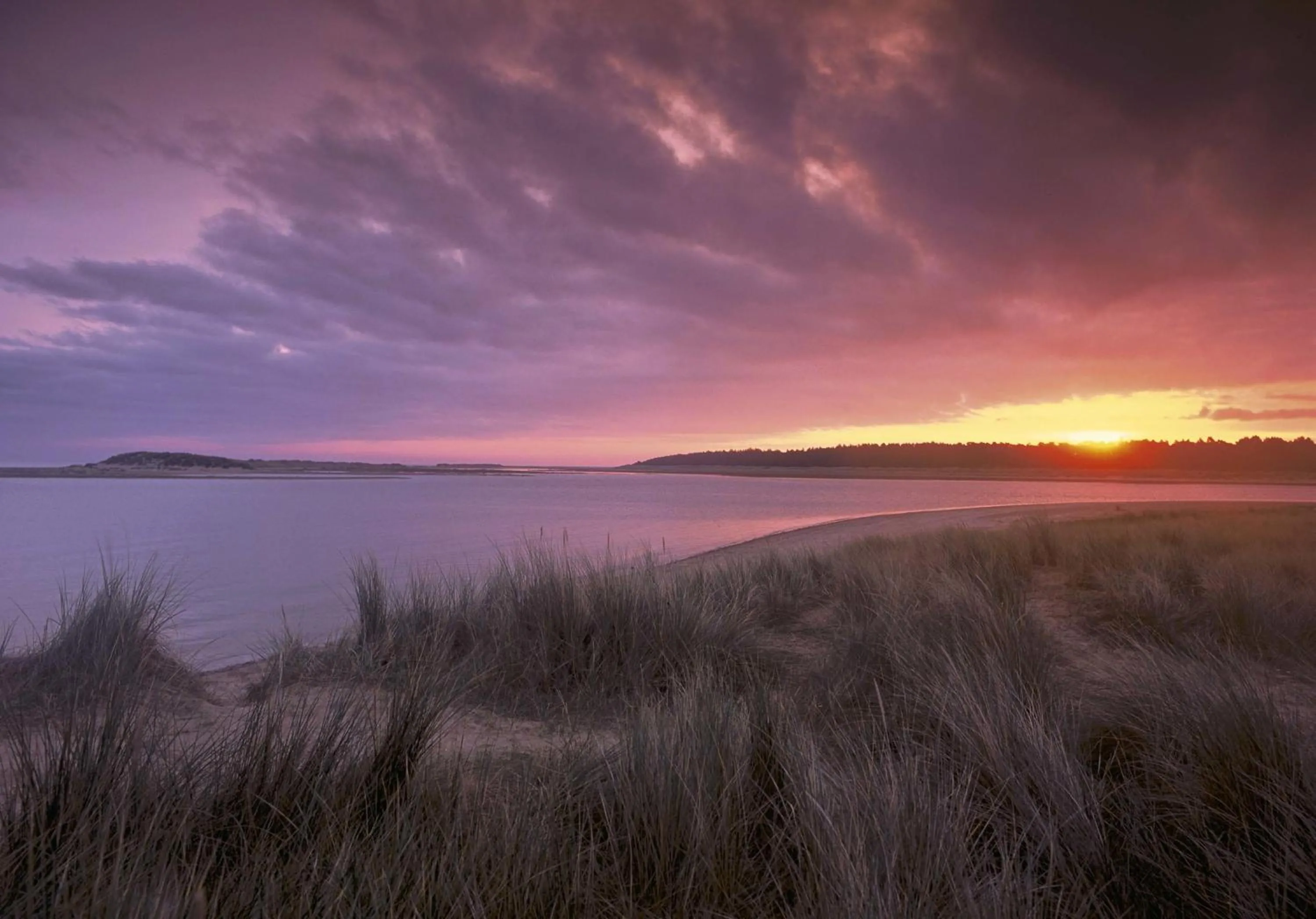 Beach in Luxury Escape