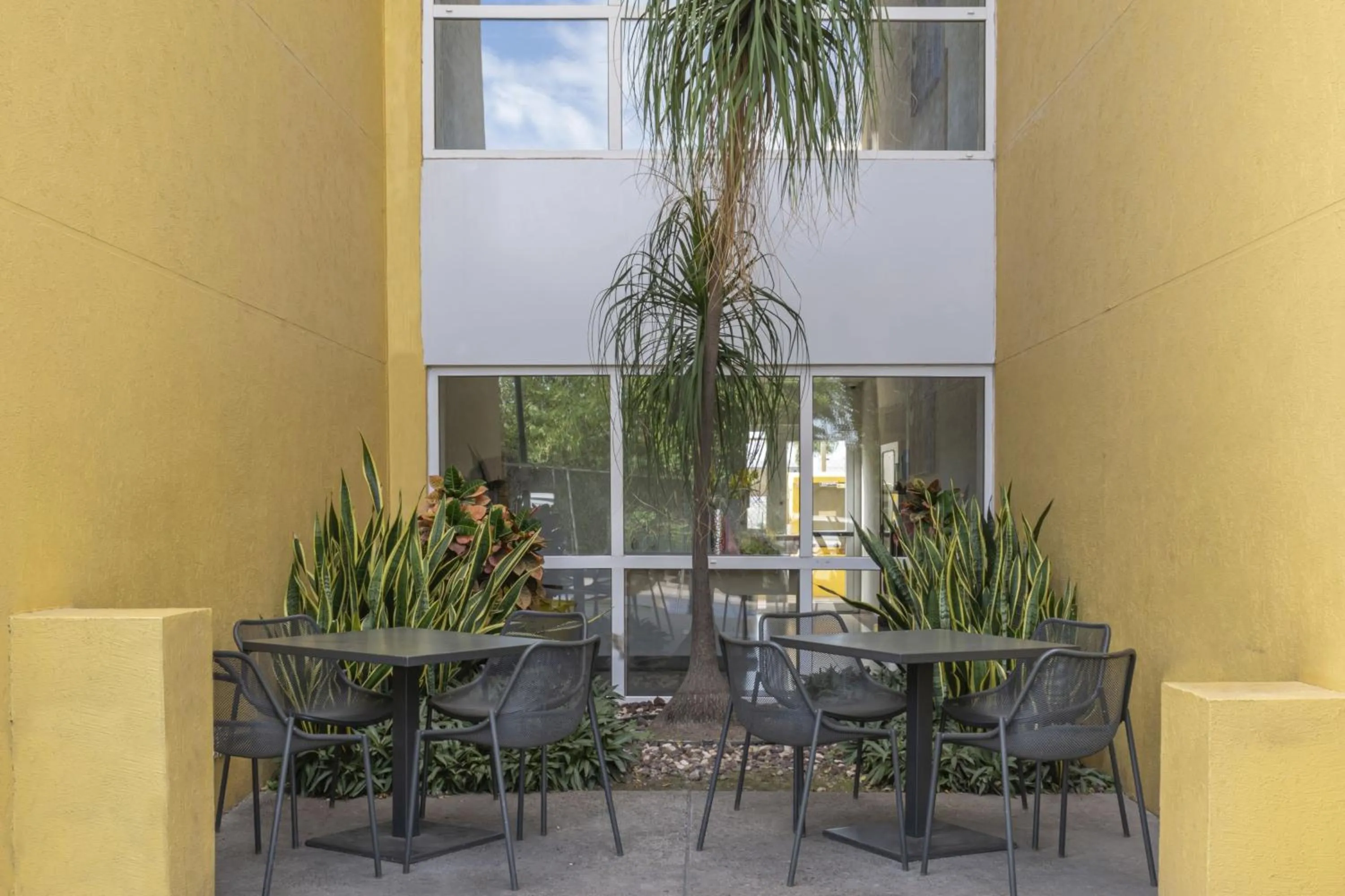 View (from property/room) in City Express by Marriott Culiacan