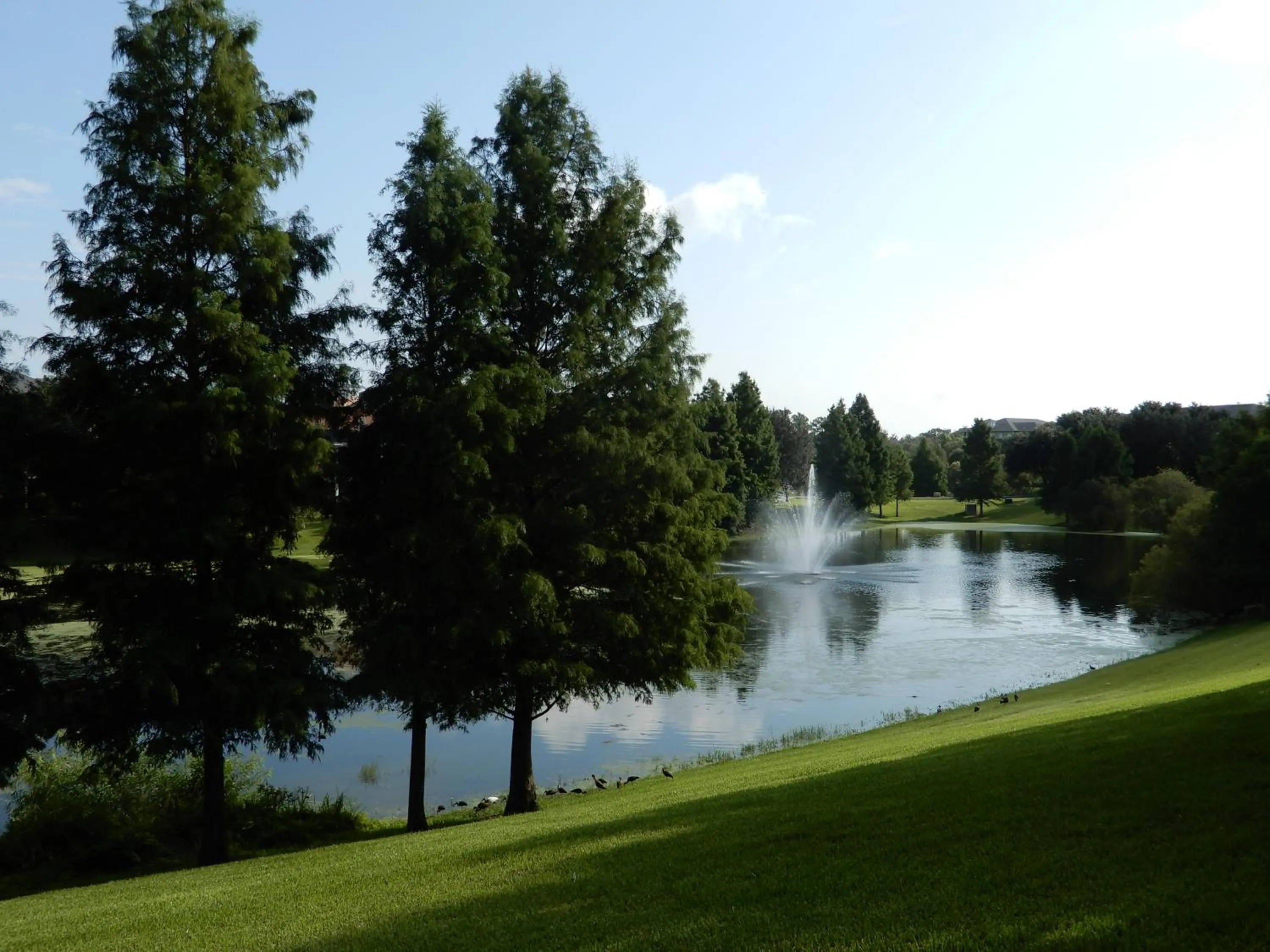 Property building in Bahama Bay
