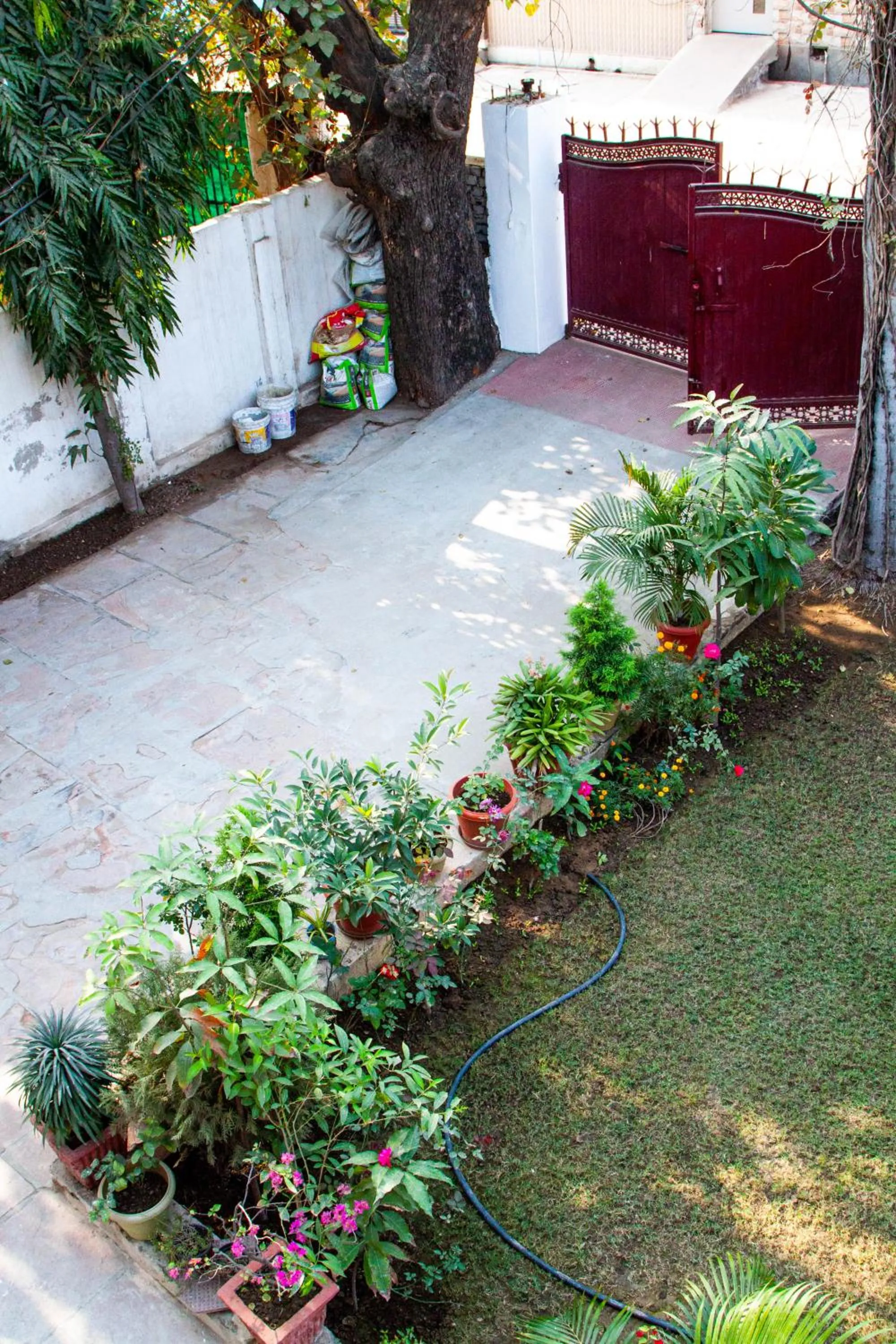 Falcon guest house