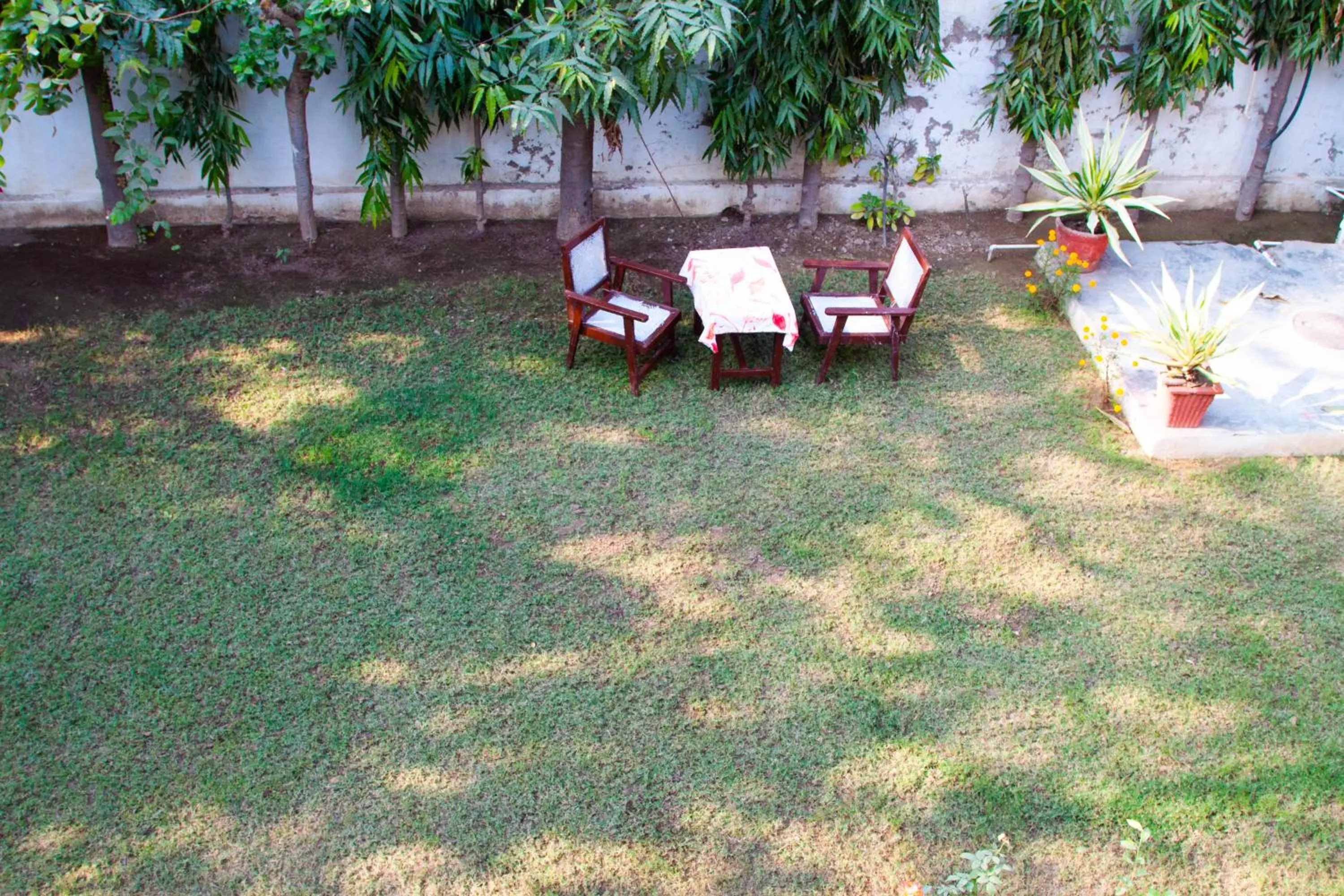 Falcon guest house