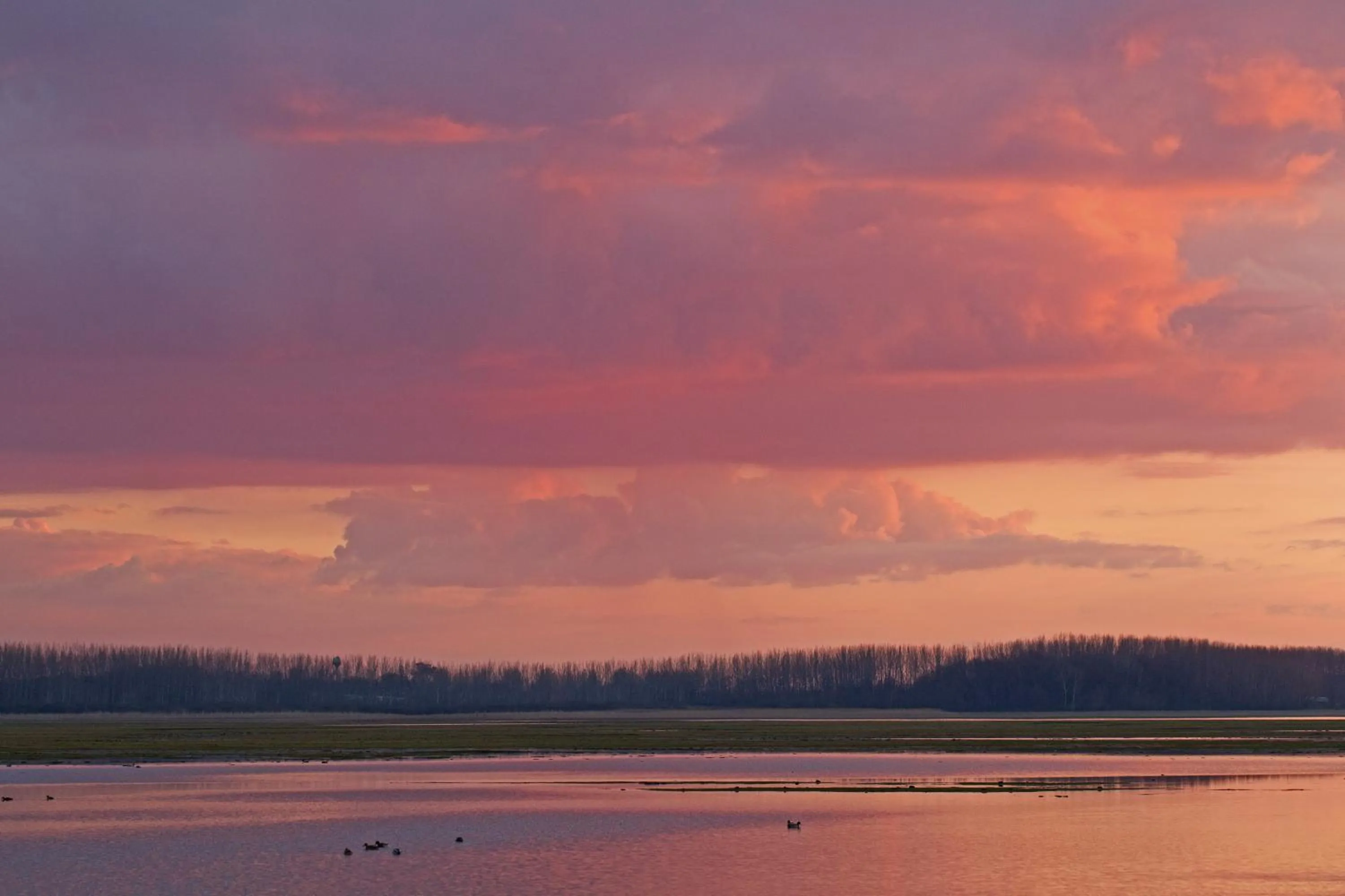 Spring in Bibic Nature Lodge