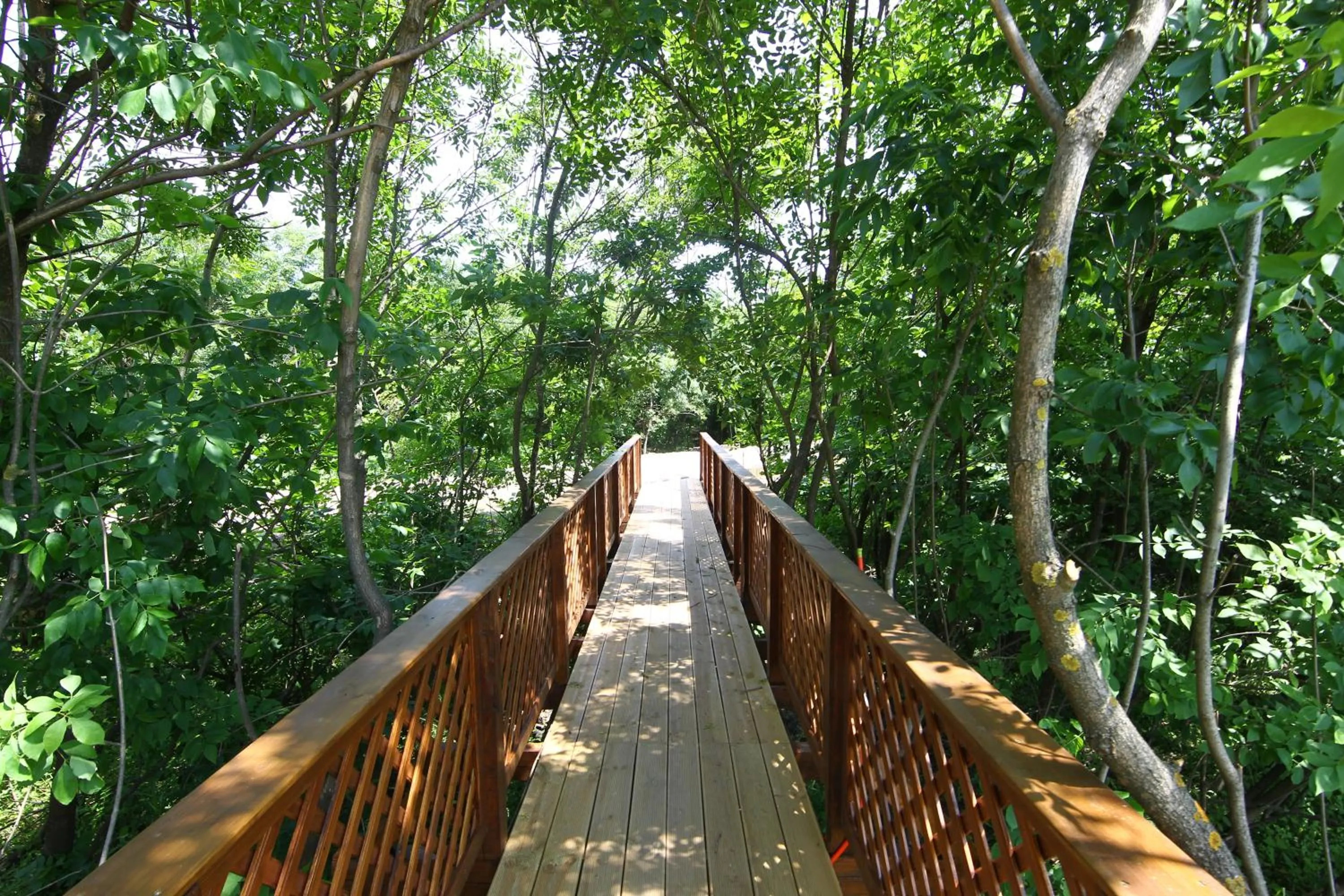 Garden in Bibic Nature Lodge