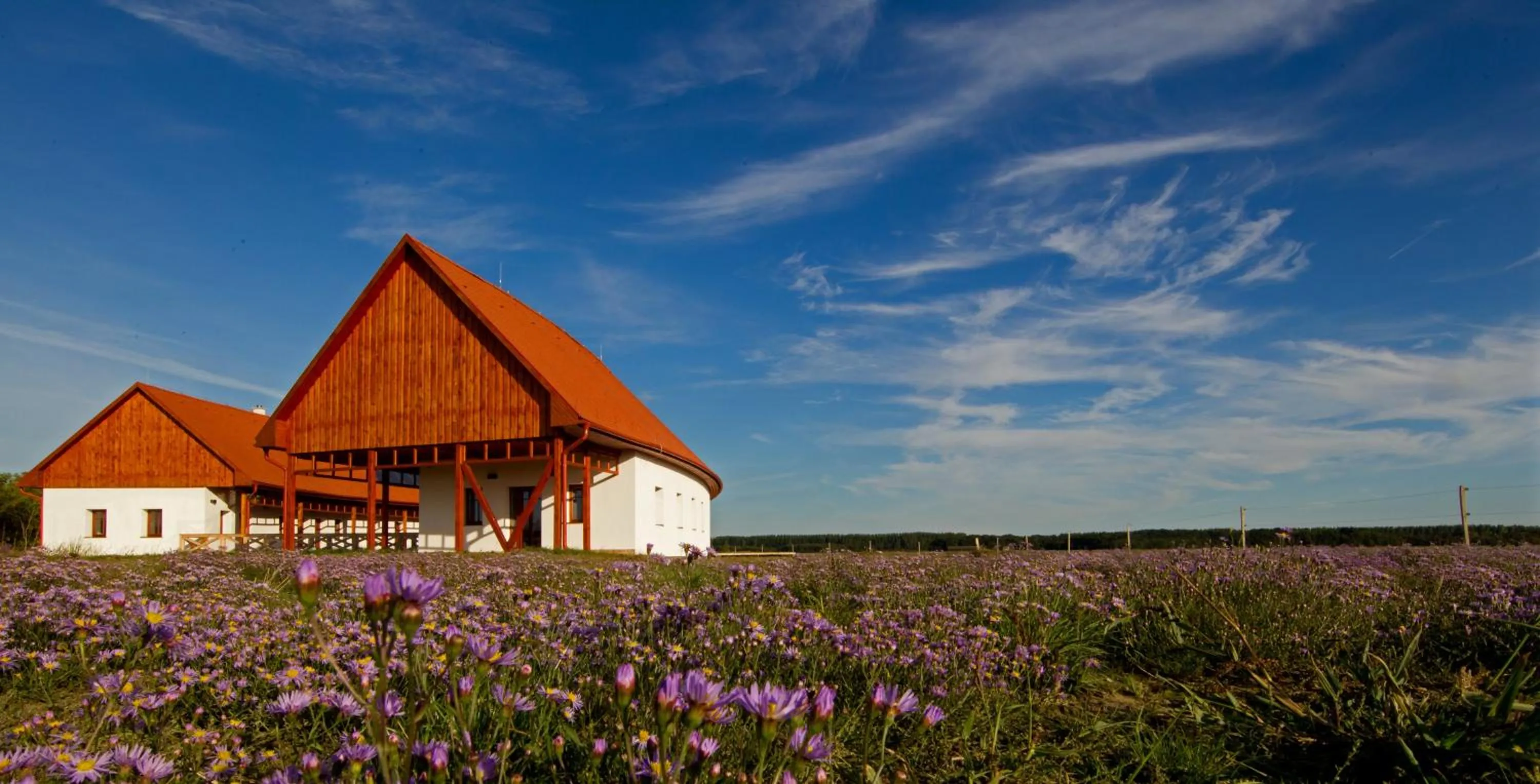 Facade/entrance in Bibic Nature Lodge