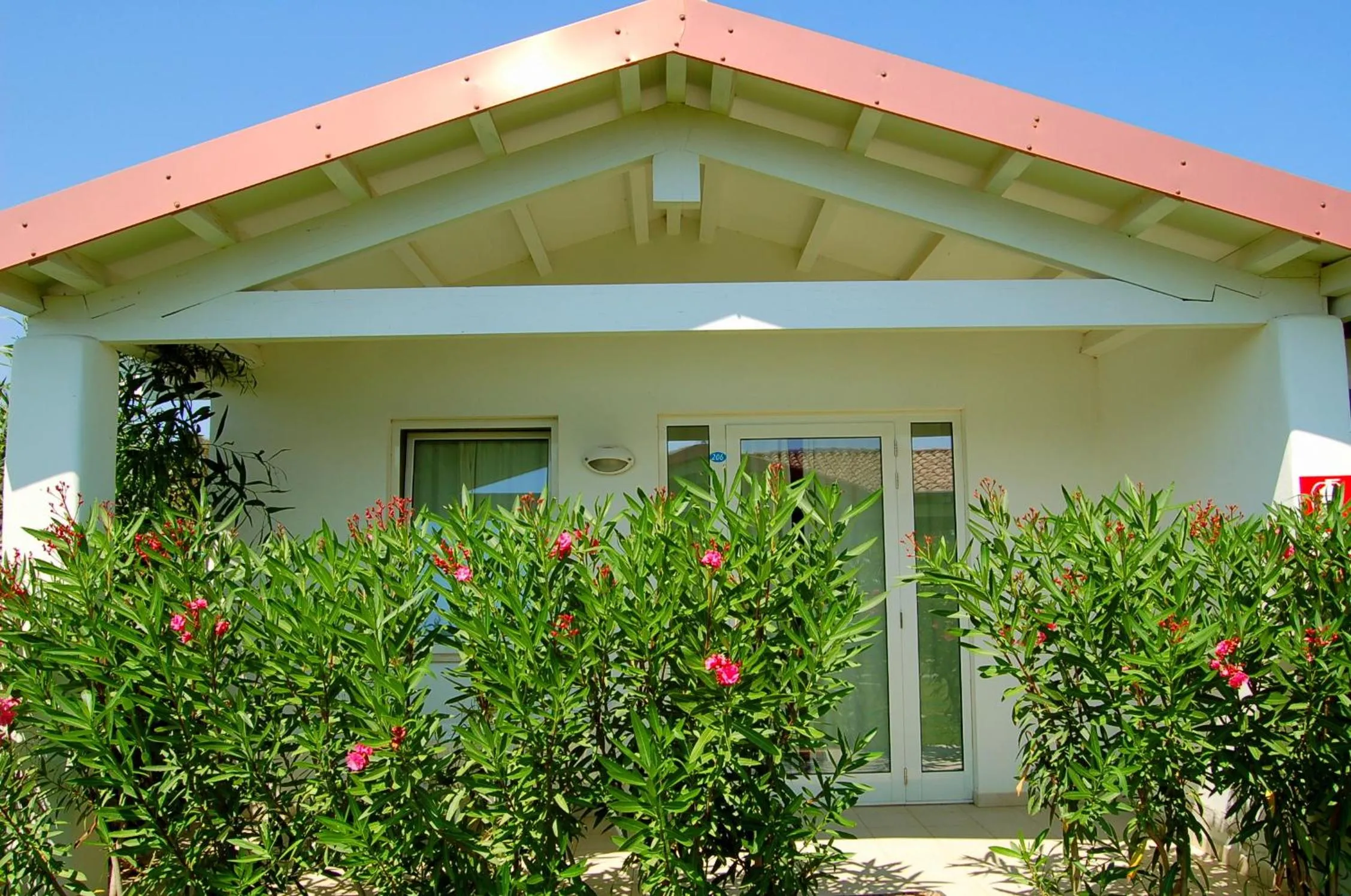 Balcony/Terrace in Hotel Budoni Beach