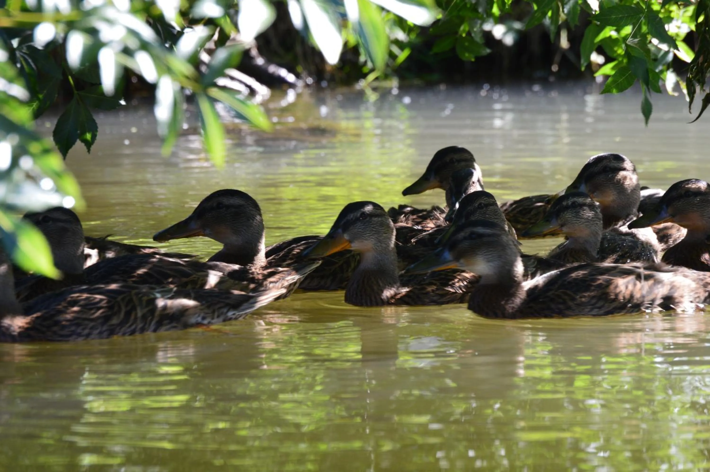 Natural landscape in Hotel Au Marais