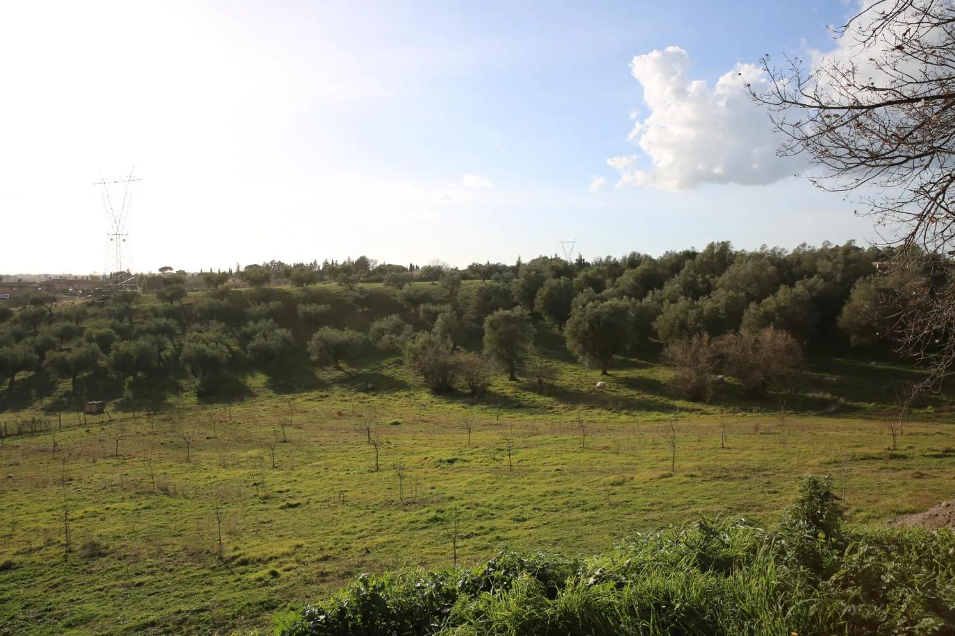 View (from property/room) in angolo di paradiso