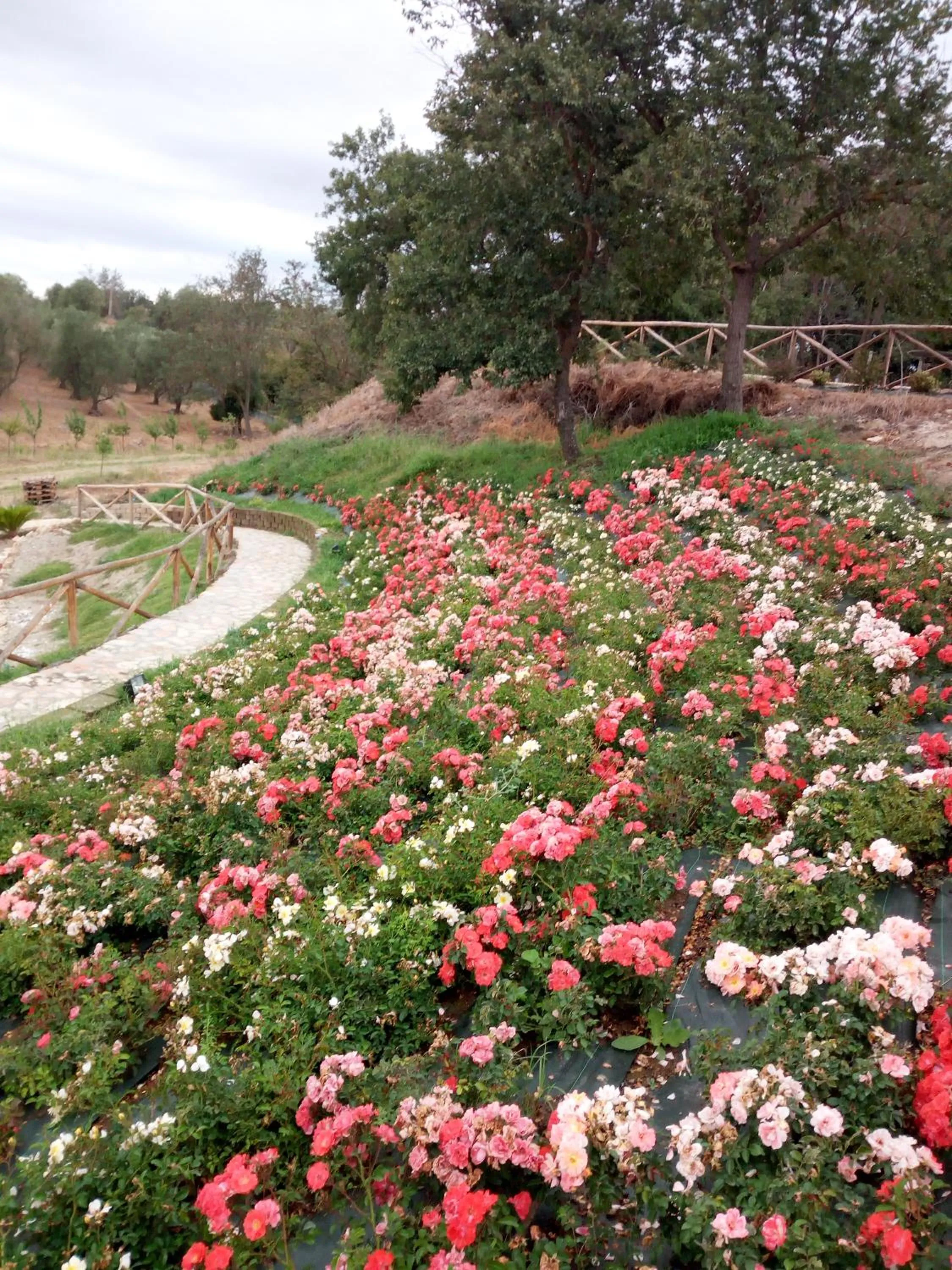 Garden in angolo di paradiso