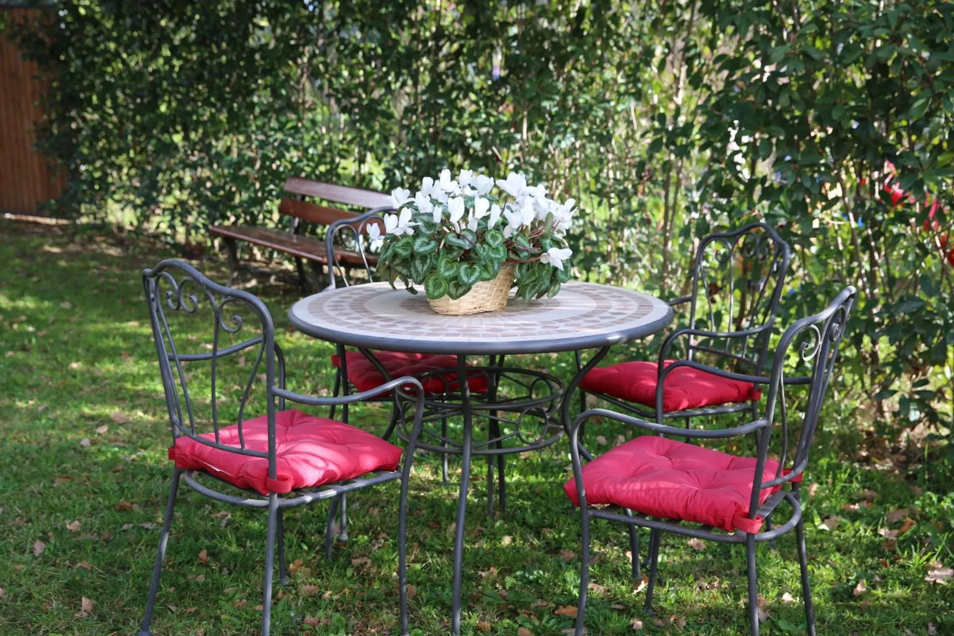 Garden in angolo di paradiso