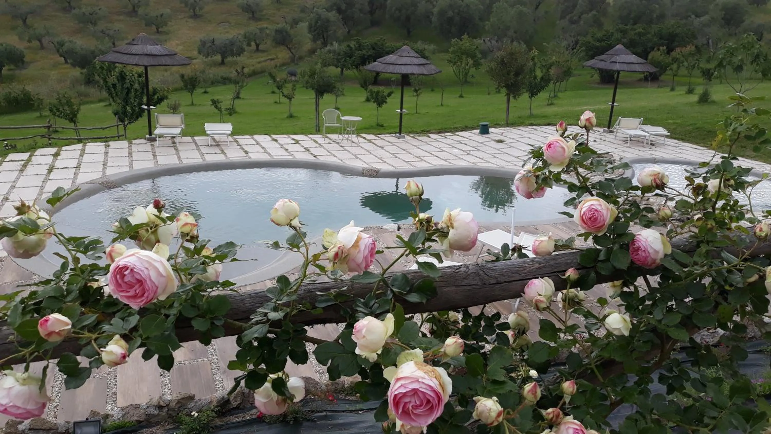 angolo di paradiso