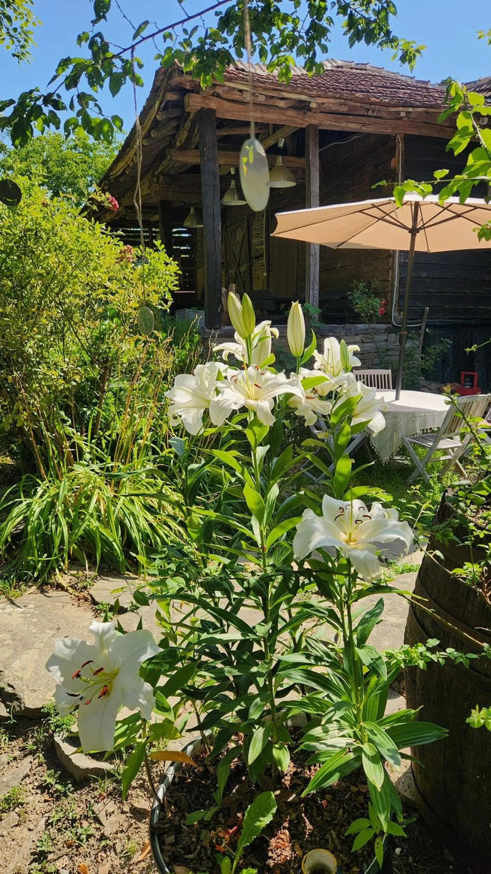 Property building in Little River Guest House