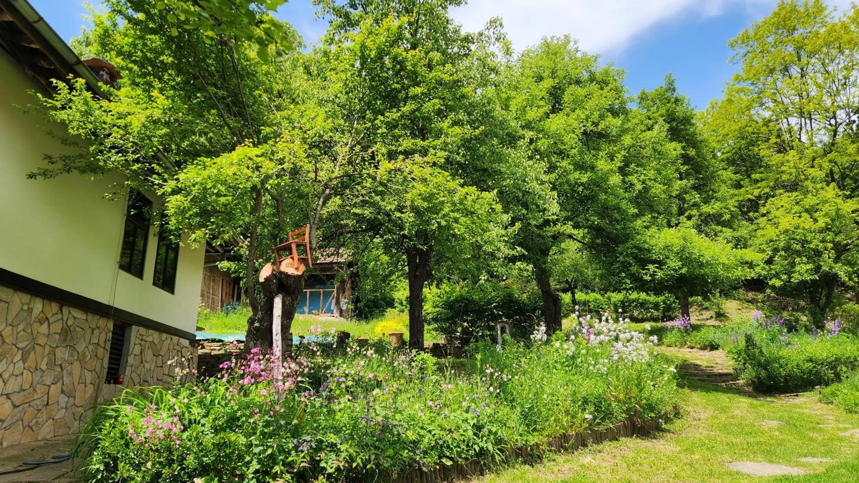 Garden in Little River Guest House