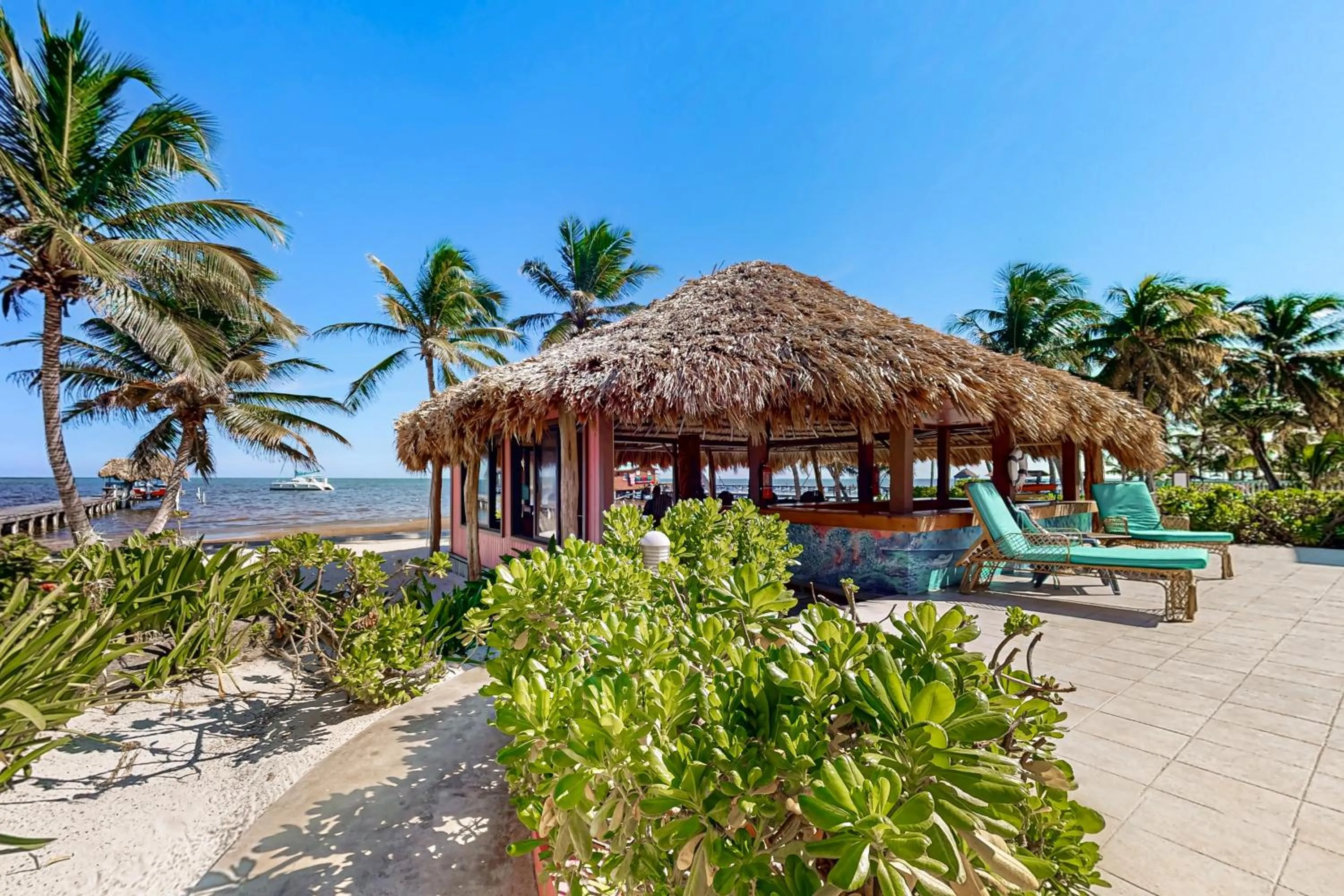 Cacao @ Caribe Island