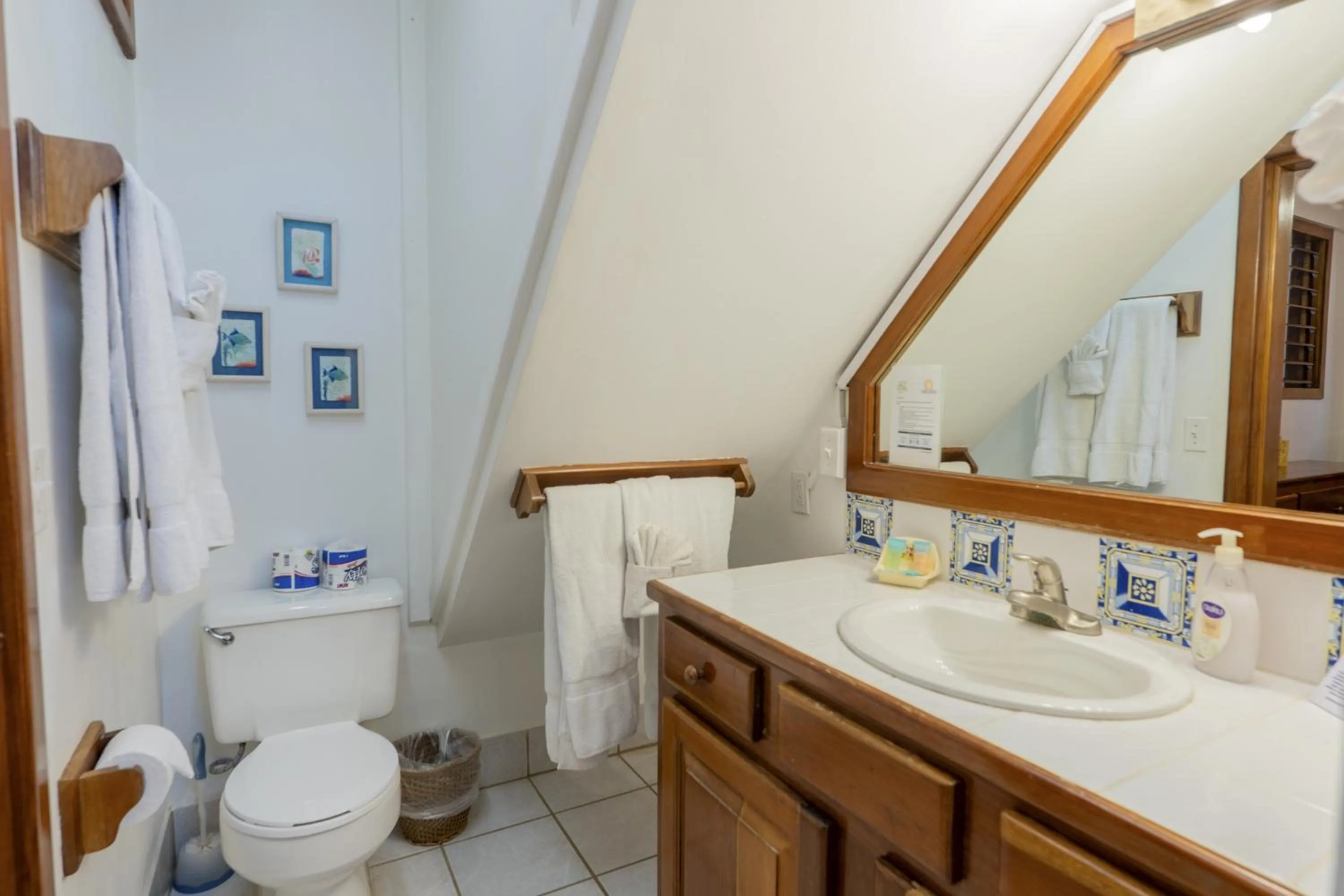 Cacao @ Caribe Island