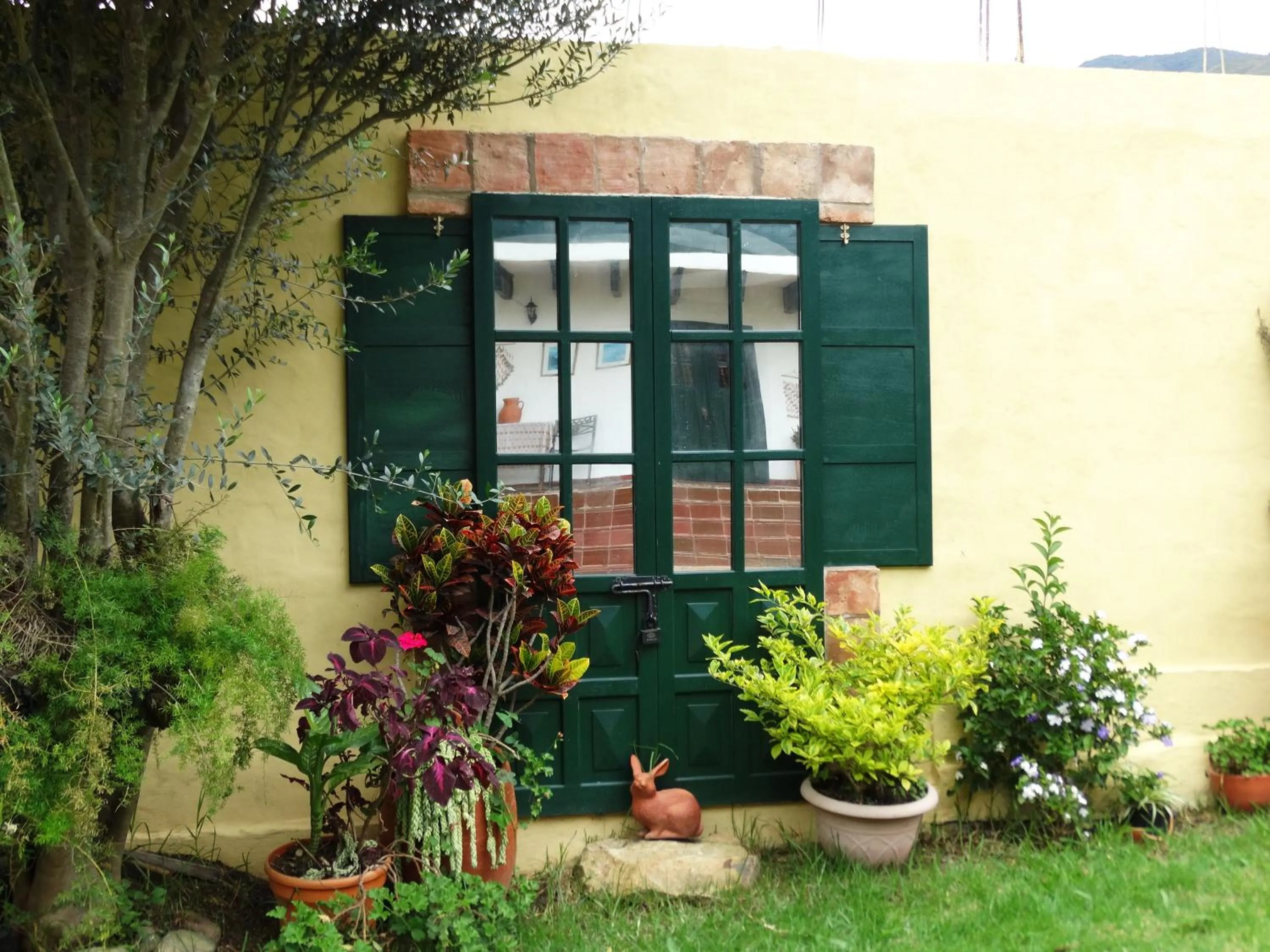Garden view in Hotel Hospederia San Carlos Villa De Leyva