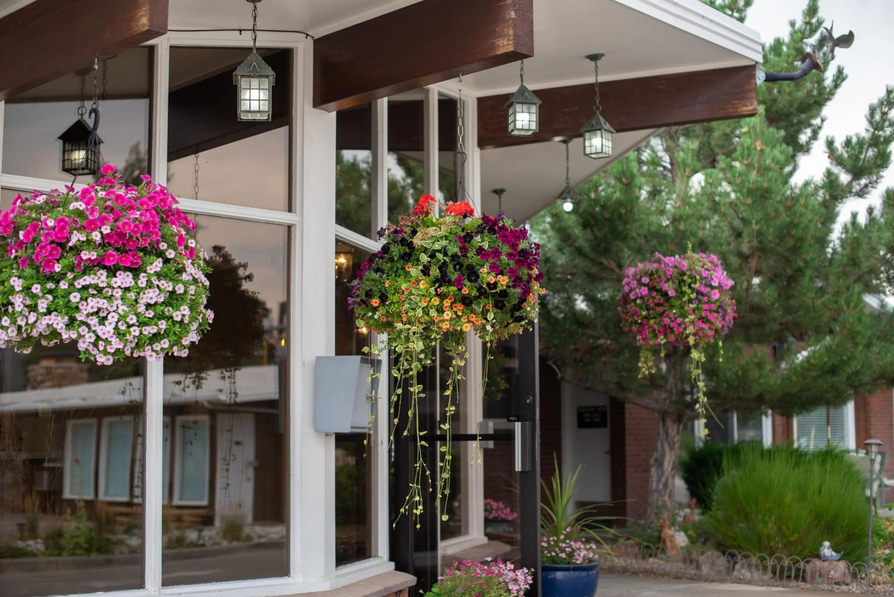 Property building in Silver Ridge Lodge