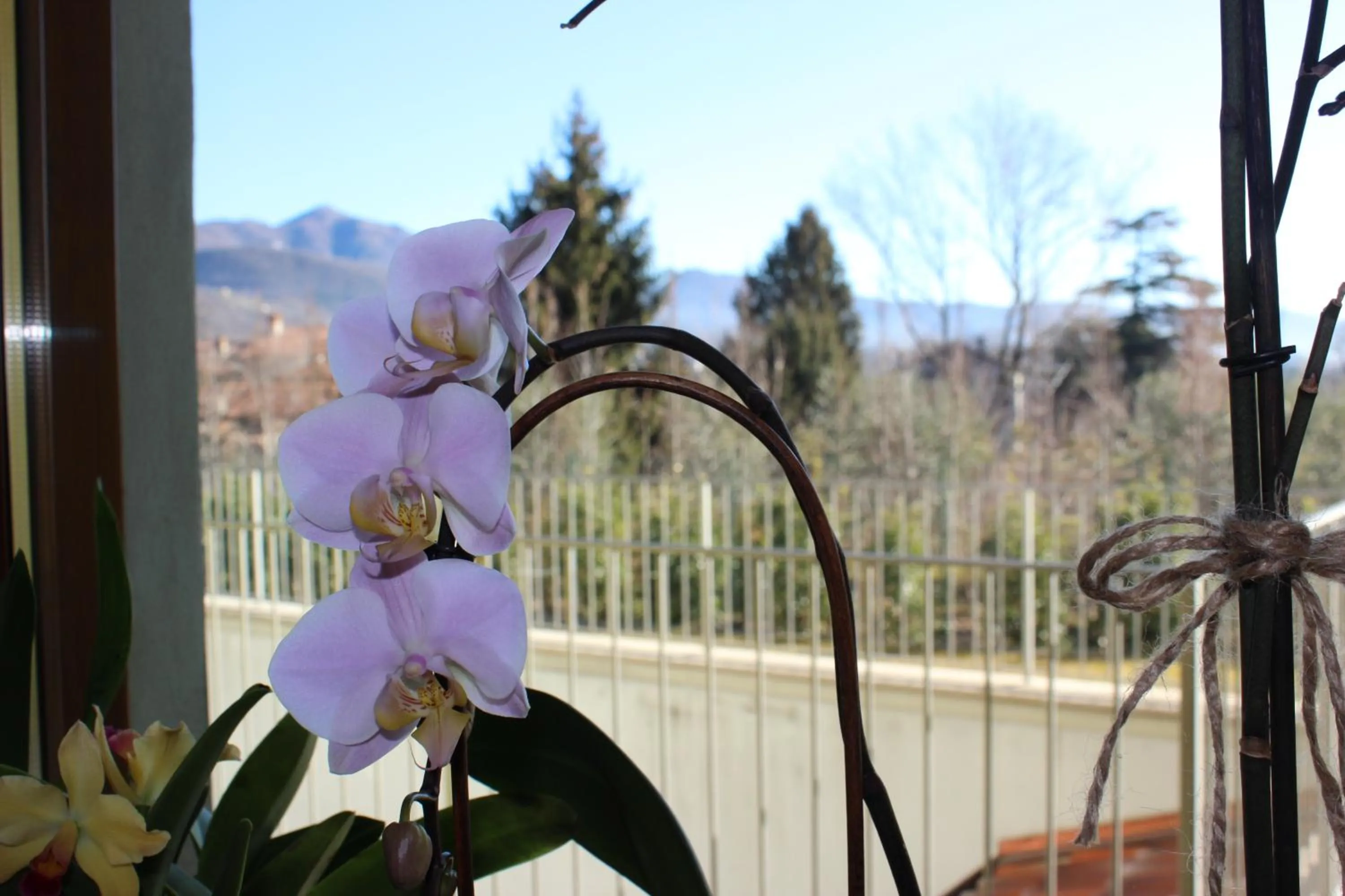 Decorative detail in Due Lune B&B