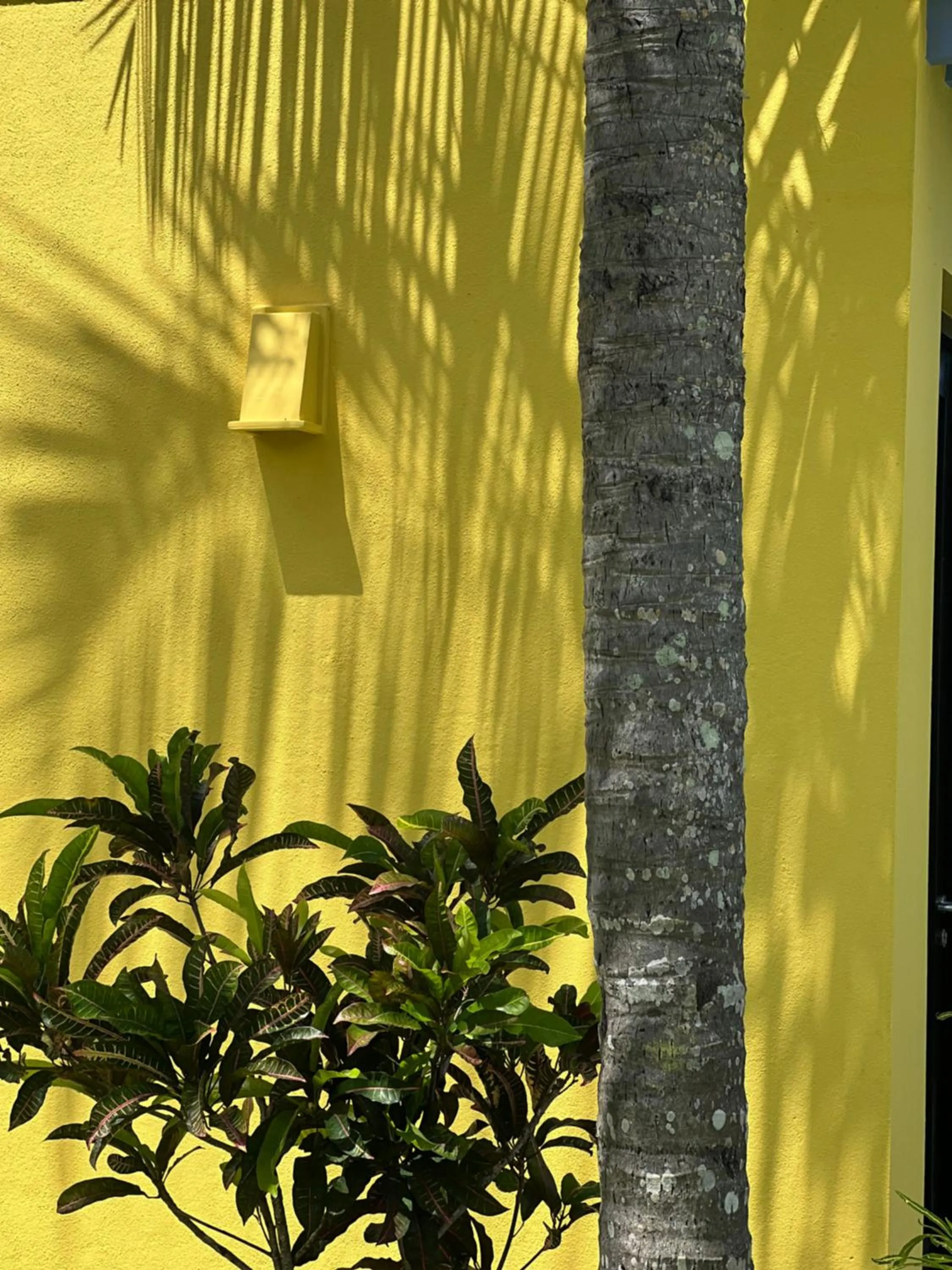 Property building in Buckingham Place