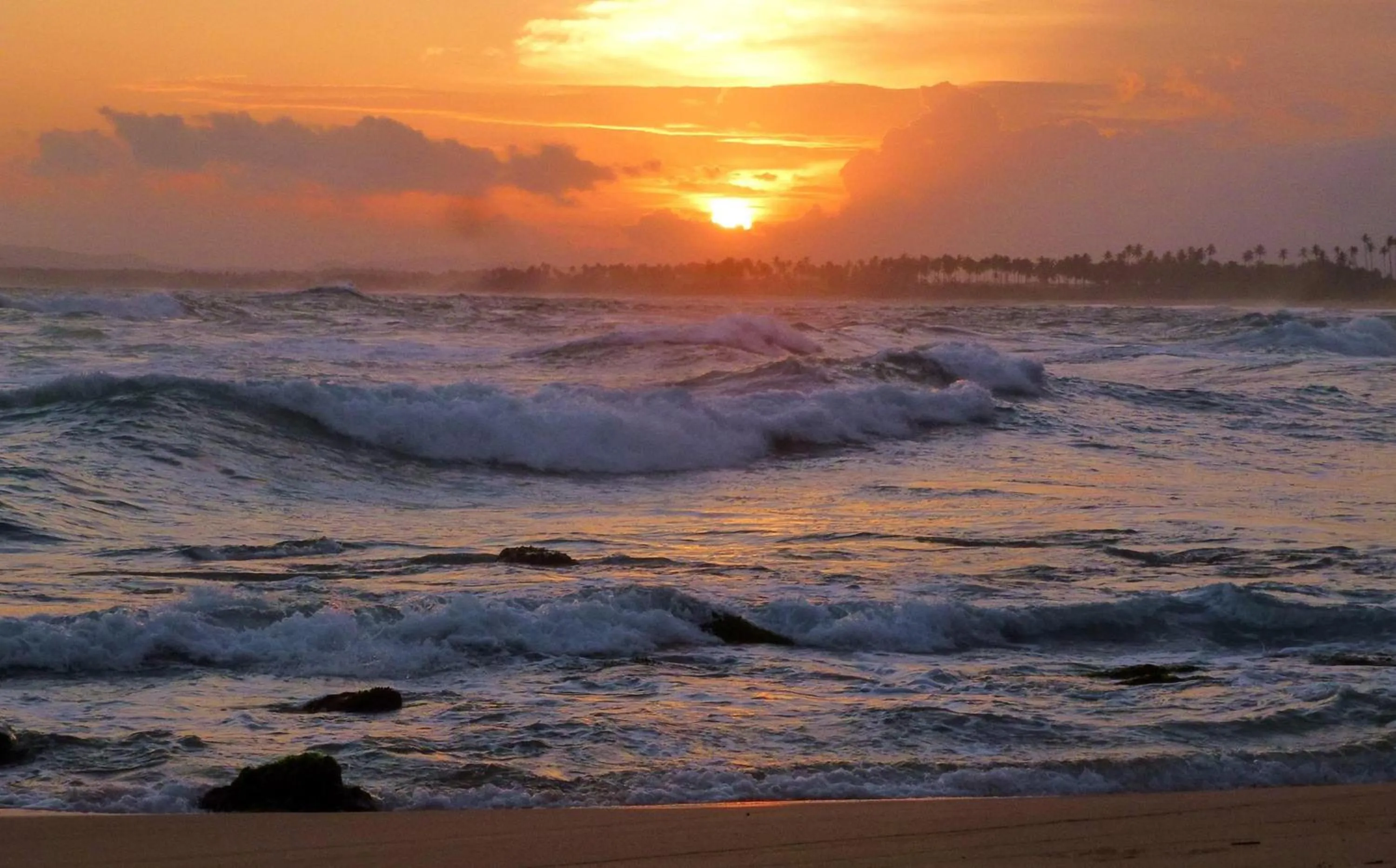 Beach in Buckingham Place