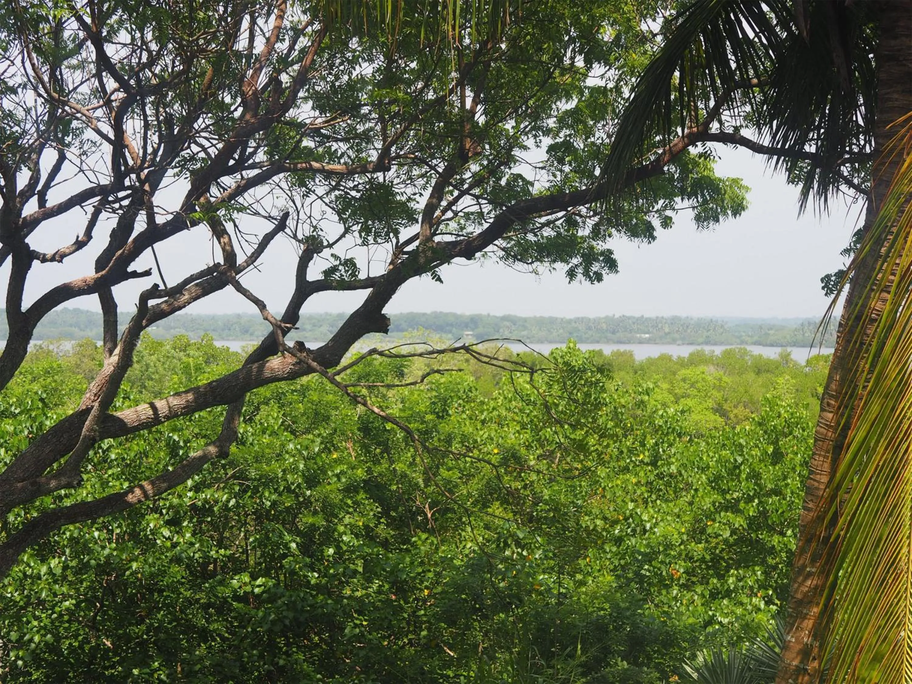 View (from property/room) in Buckingham Place